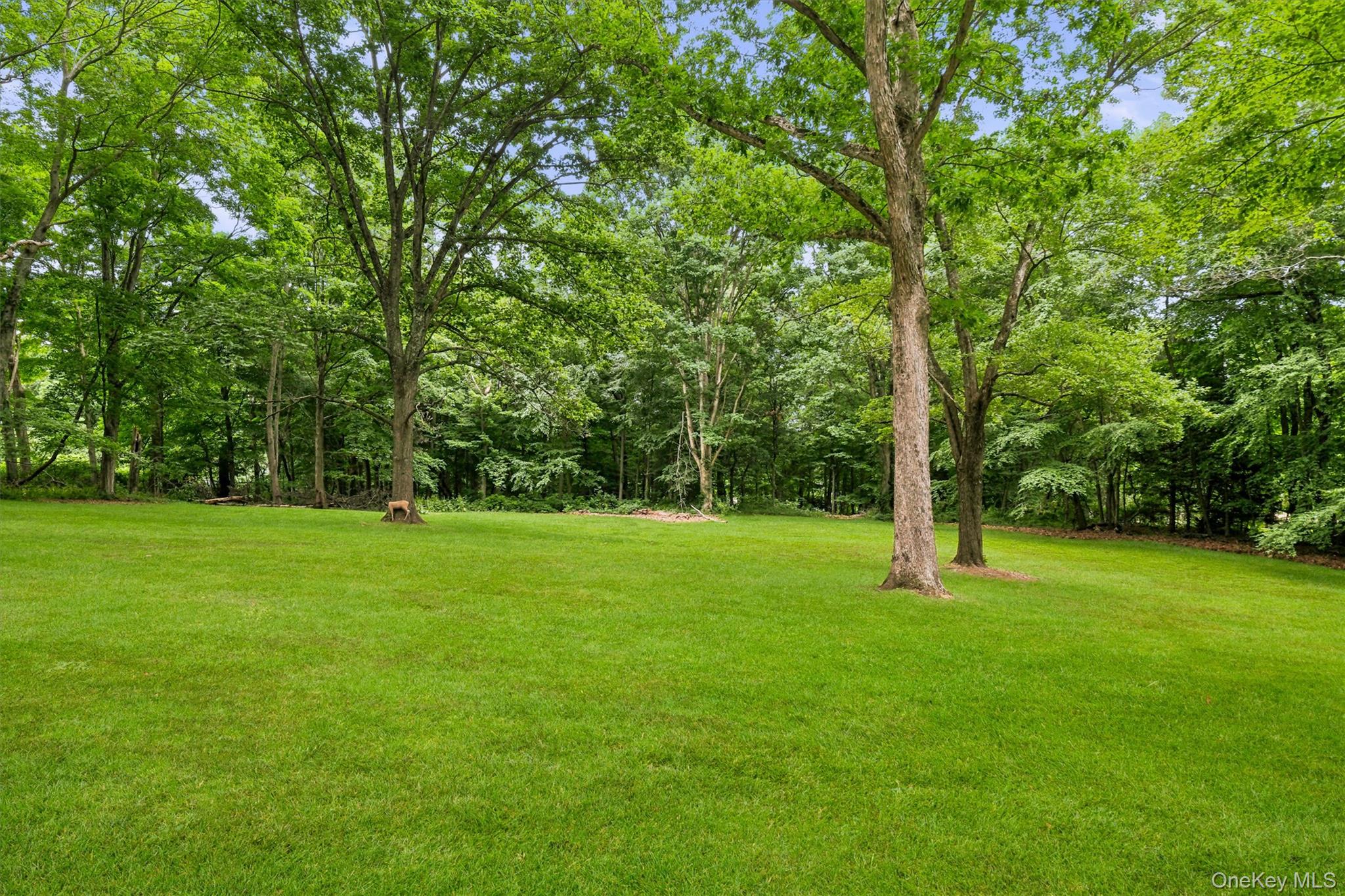 Photo 45 of this property