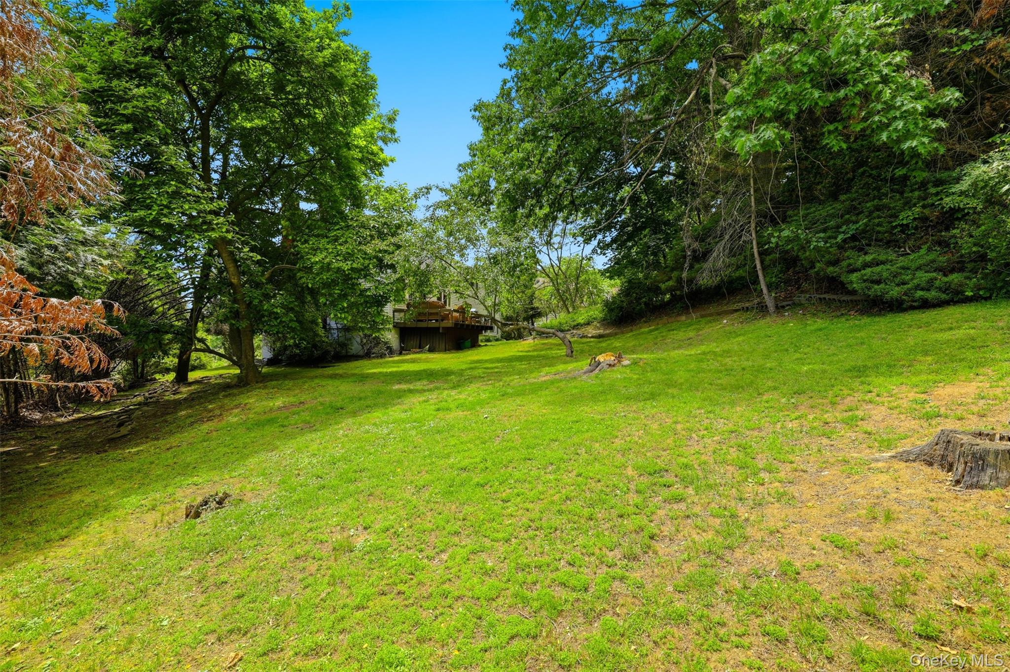 Photo 40 of this property