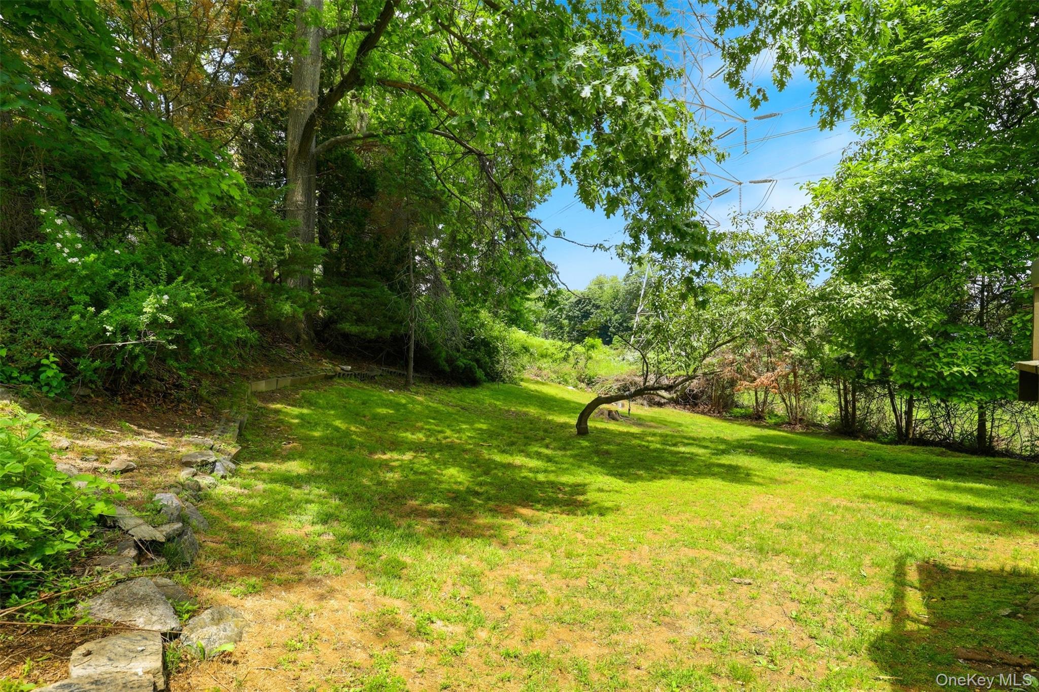Photo 39 of this property