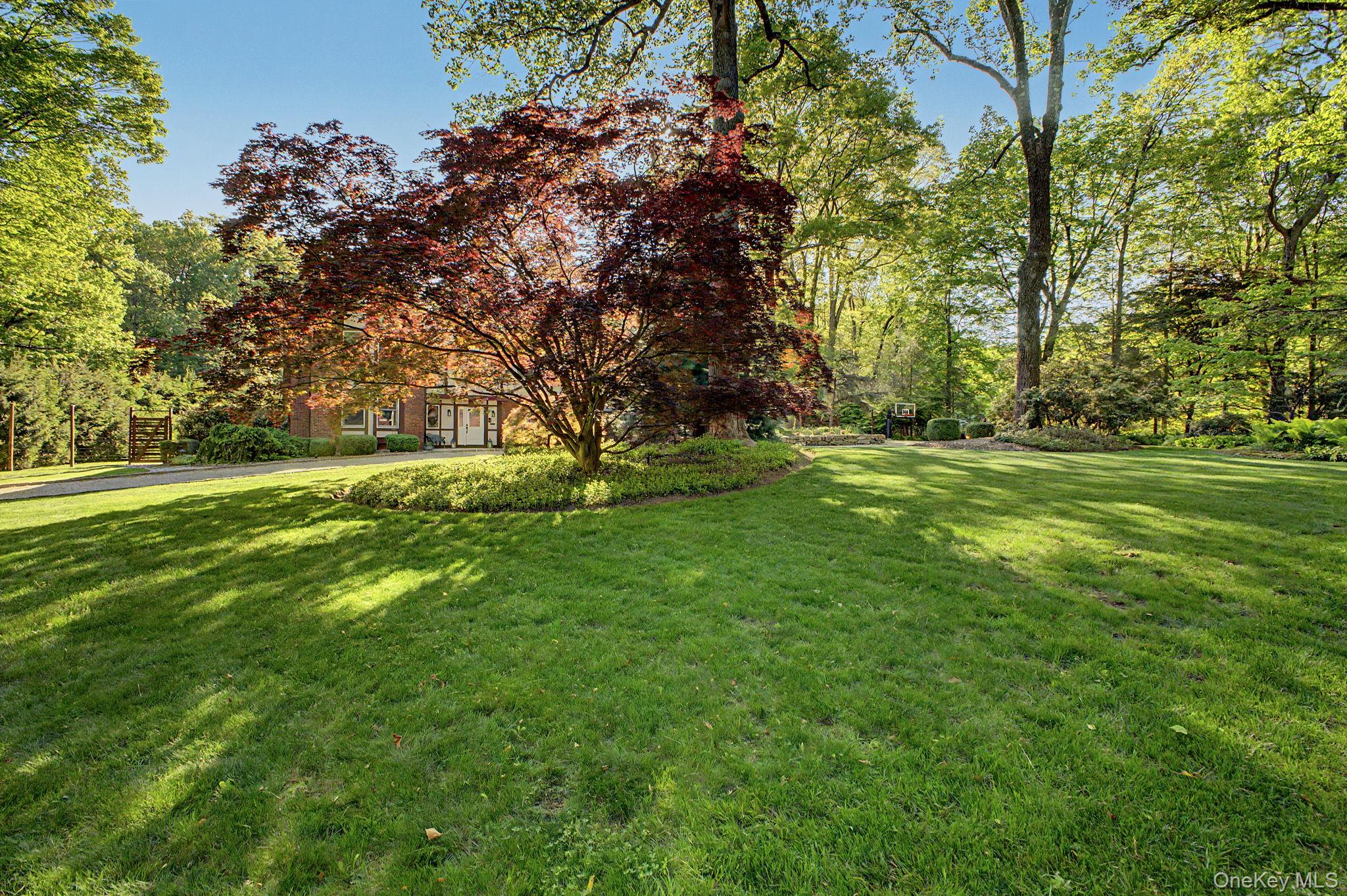 Photo 39 of this property