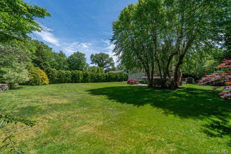 Photo 35 of this property