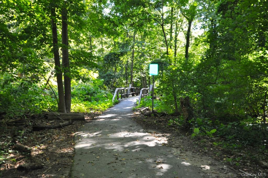 Photo 41 of this property