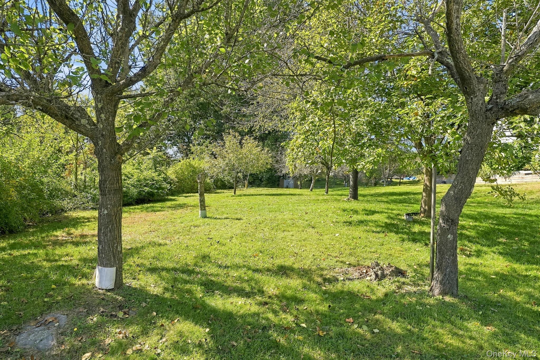Photo 45 of this property