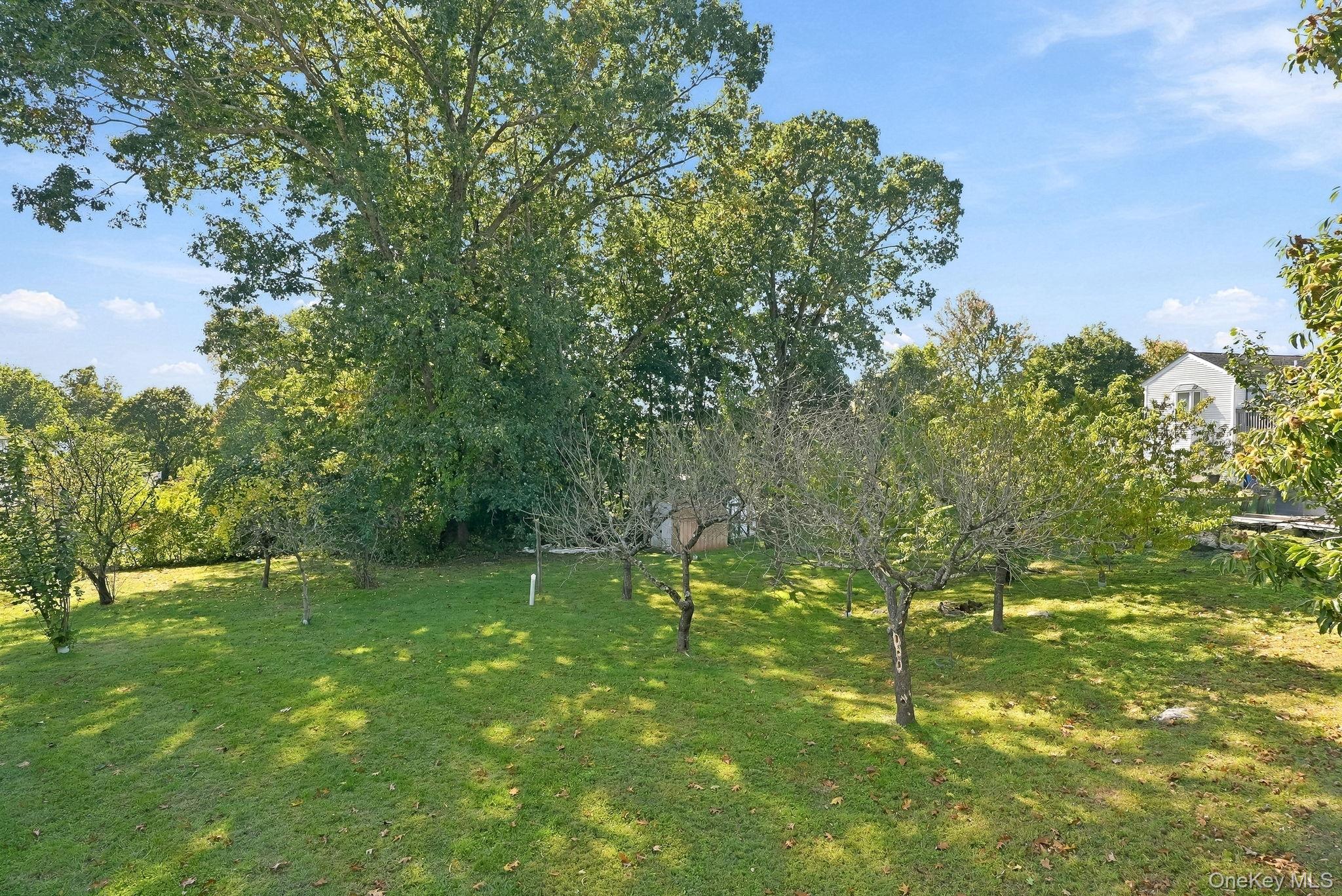 Photo 43 of this property