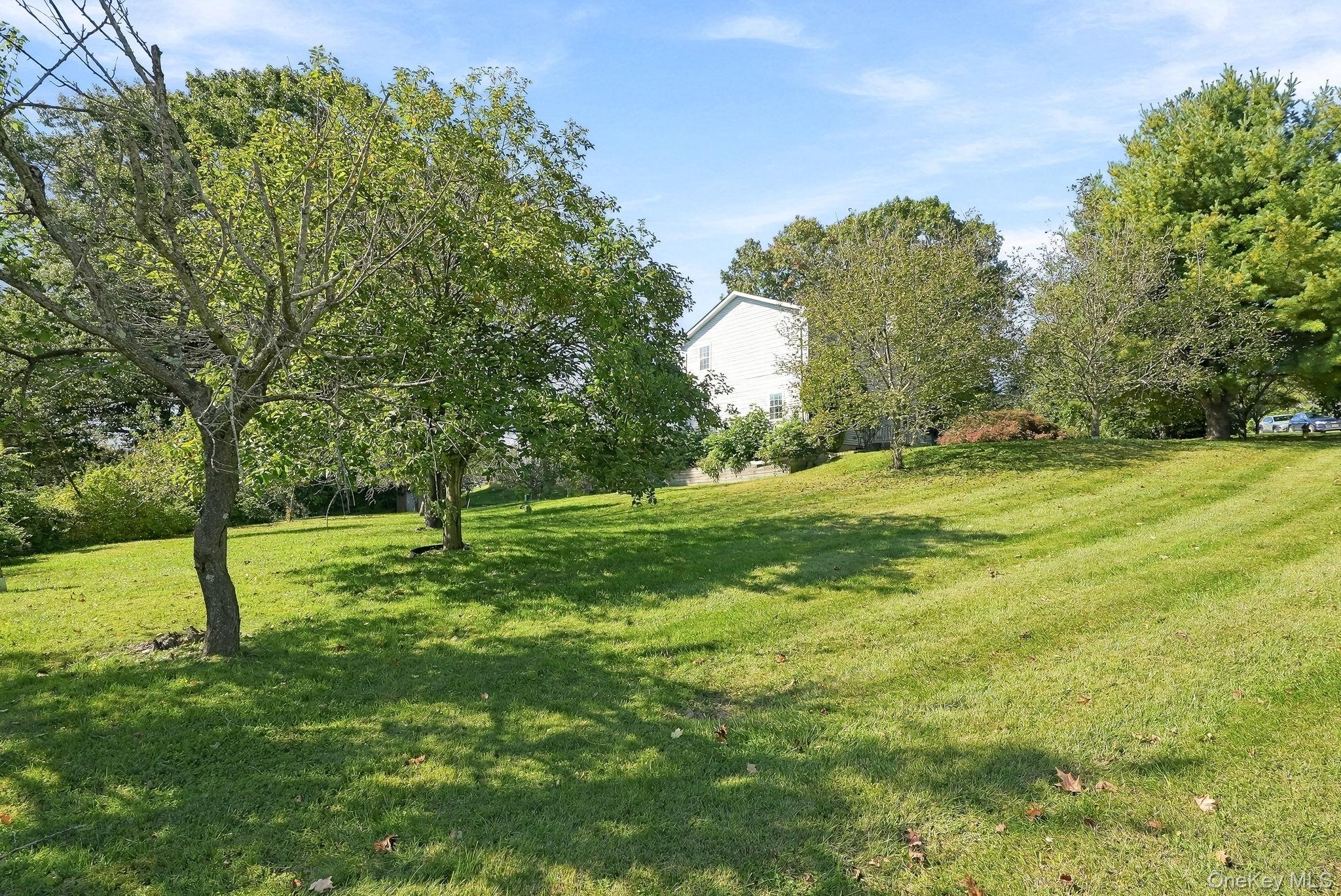 Photo 44 of this property