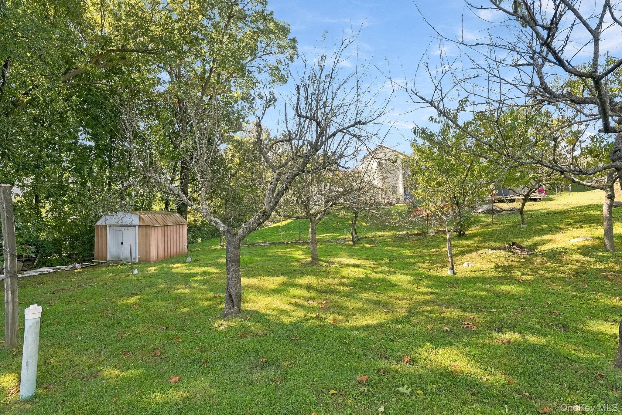 Photo 42 of this property