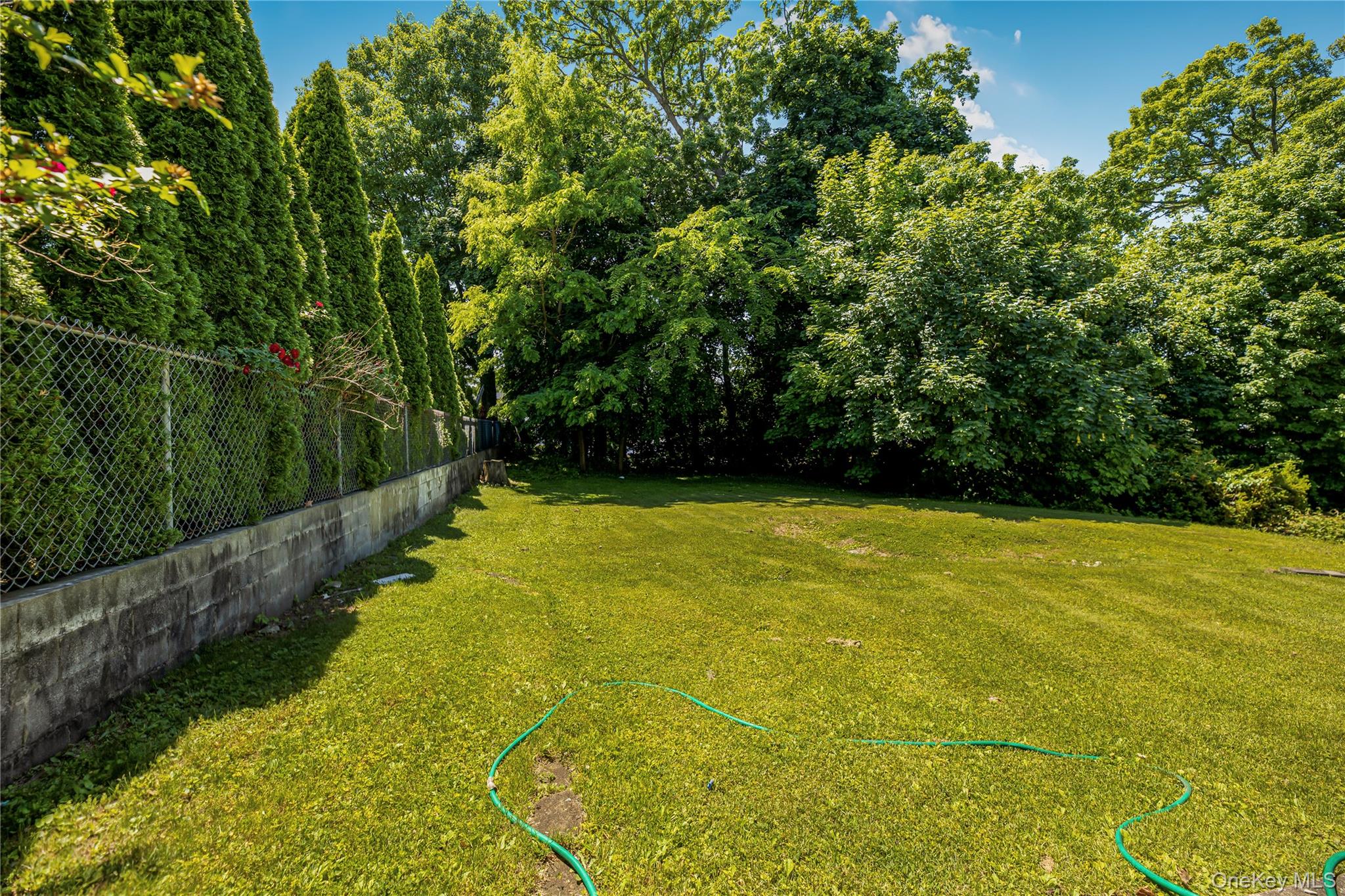 Photo 24 of this property