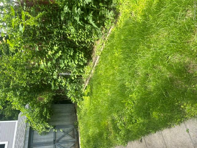 Photo 16 of this property