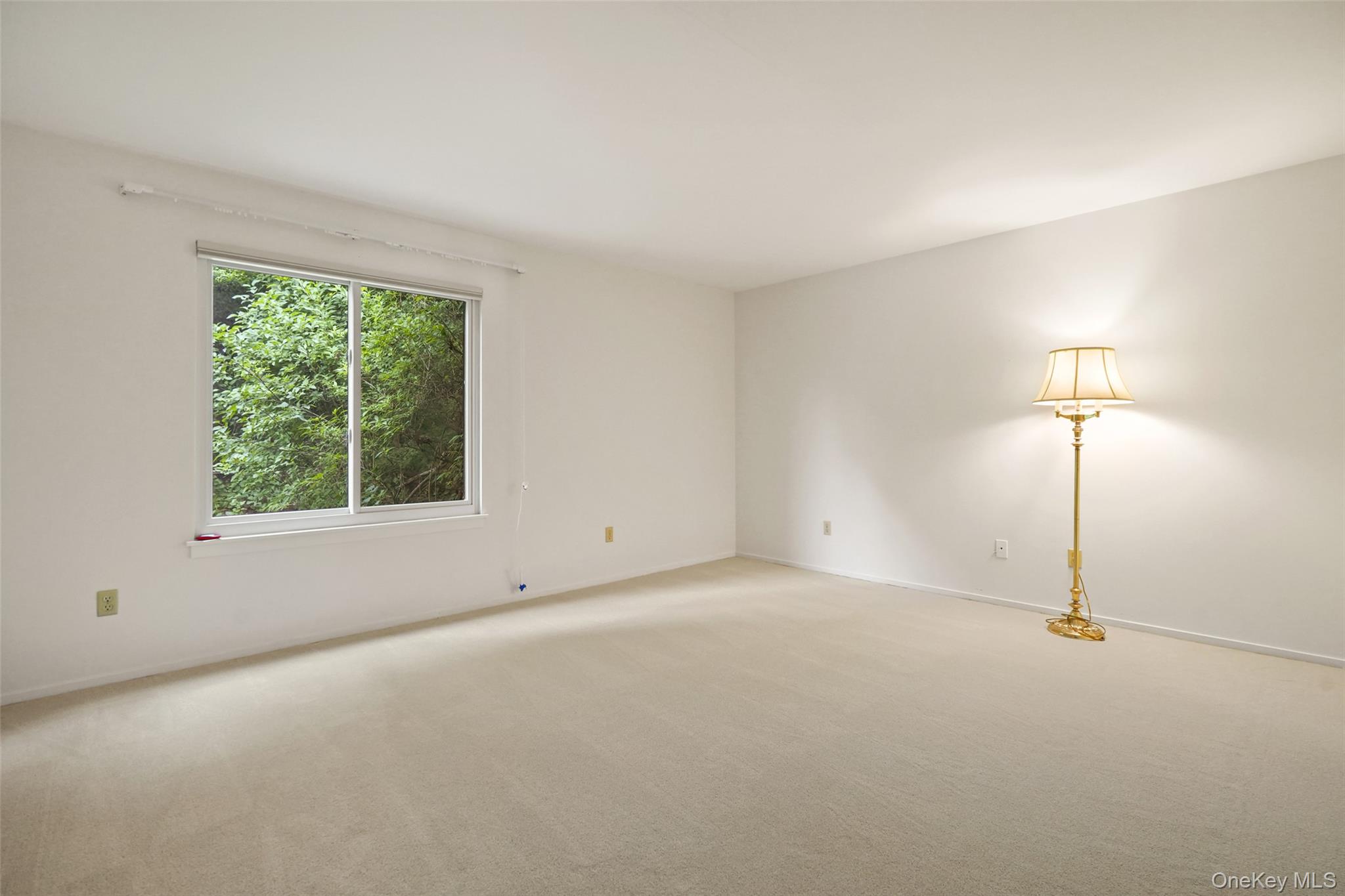 Photo 11 of this property
