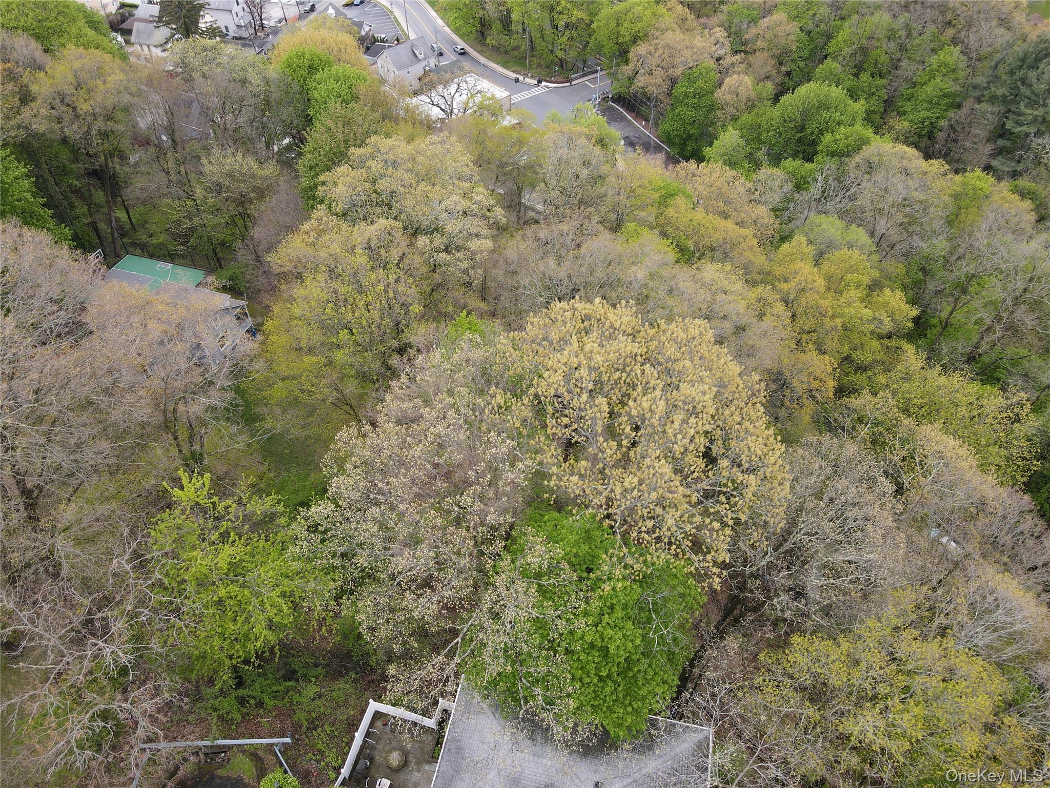 Photo 5 of this property