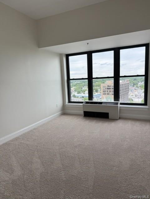 Photo 19 of this property