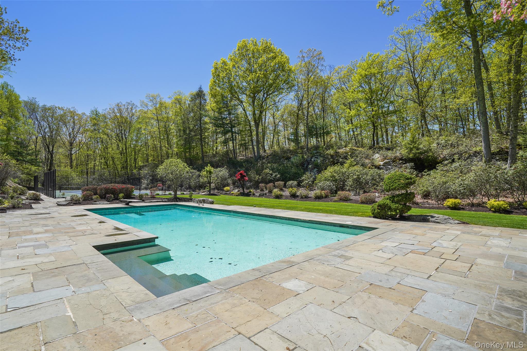 Photo 42 of this property