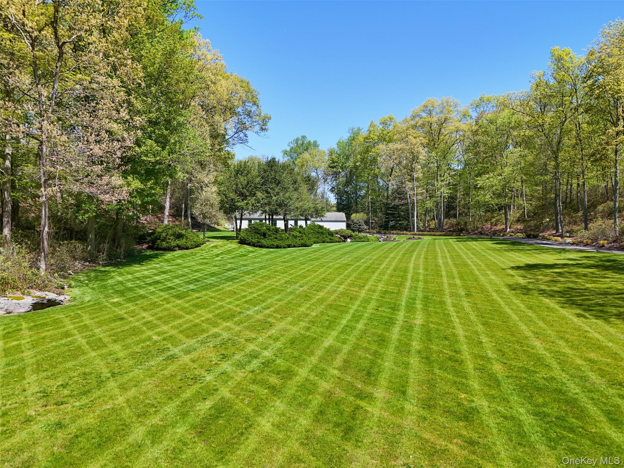 Photo 44 of this property