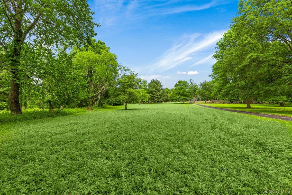 10 acres of magnificent property in estate section of southern Purchas...
