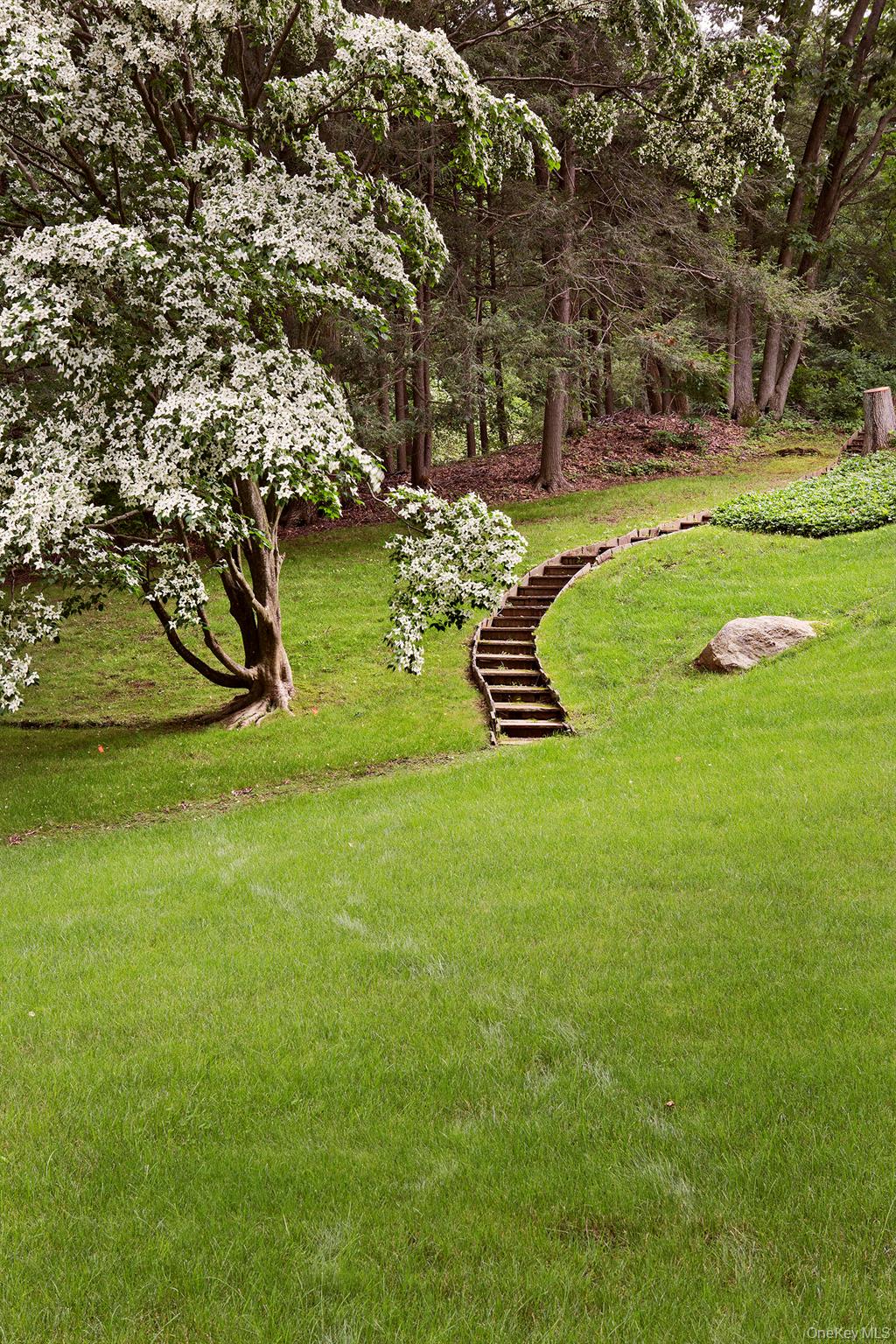 Photo 38 of this property