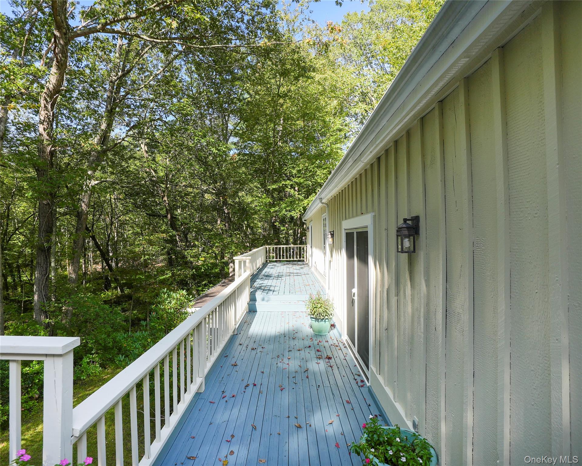 Photo 39 of this property