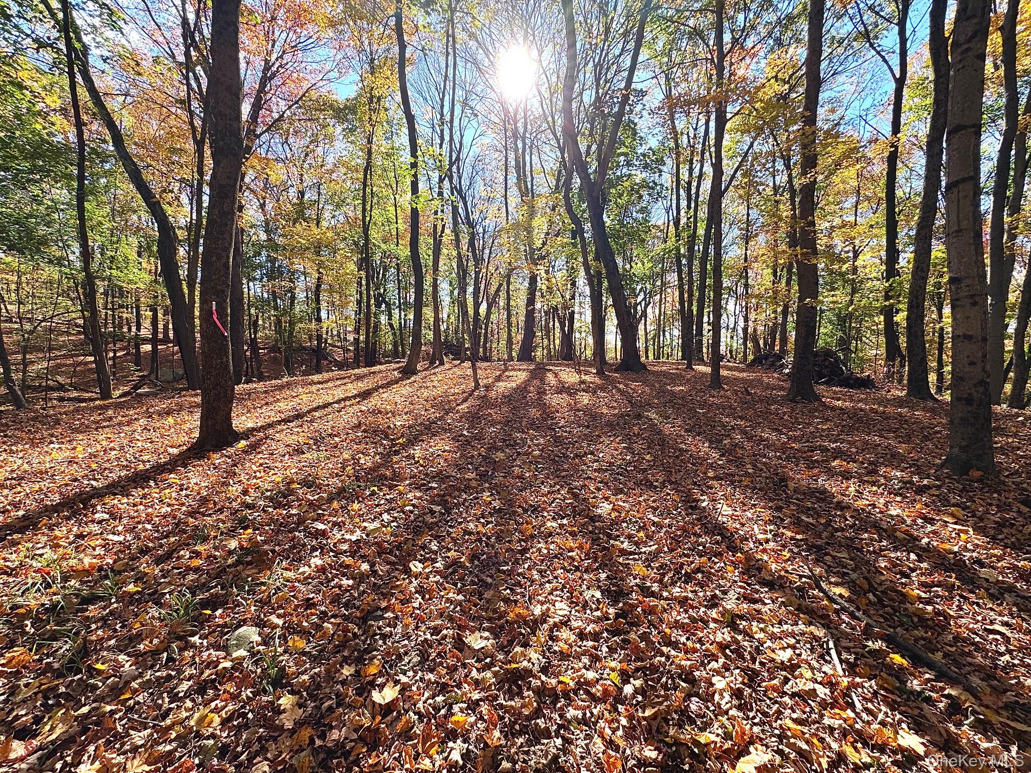Site plan approved subdivision on historic Somerstown road in Ossining...