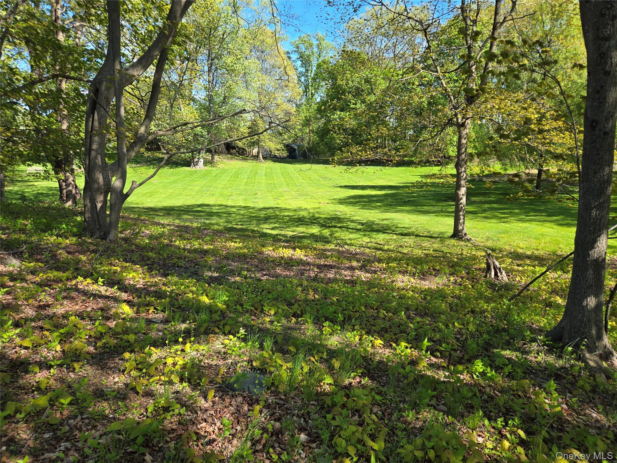 Photo 5 of this property