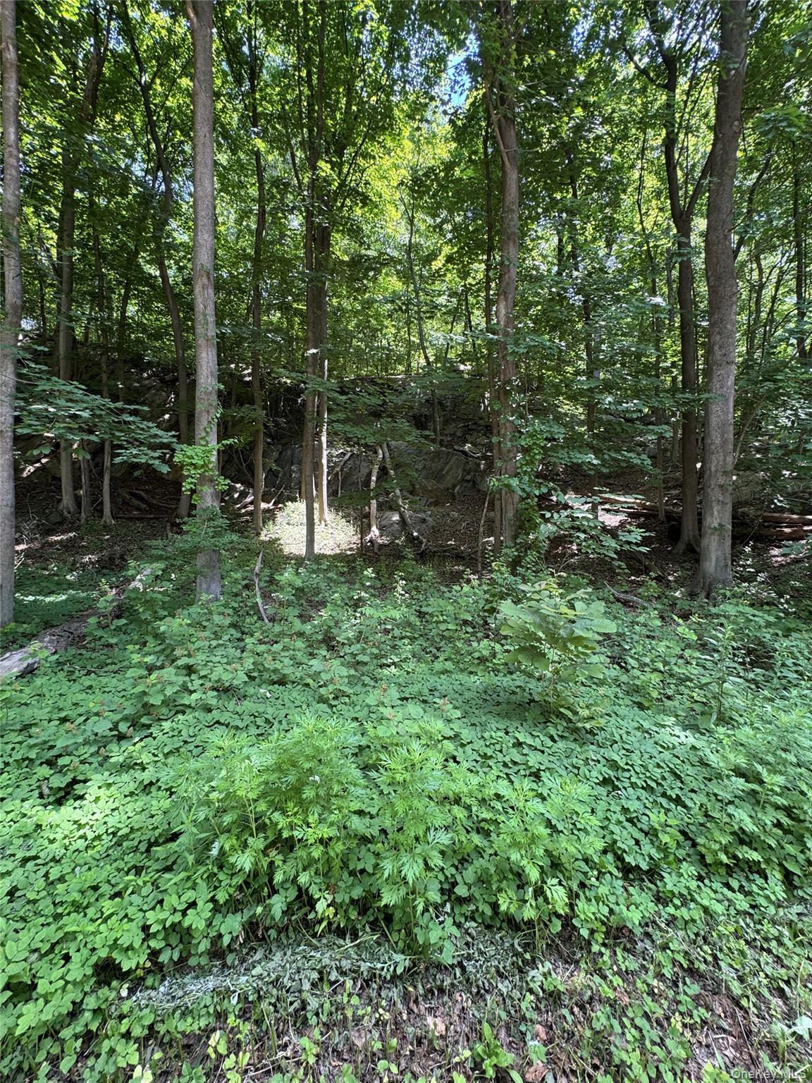 Photo 8 of this property