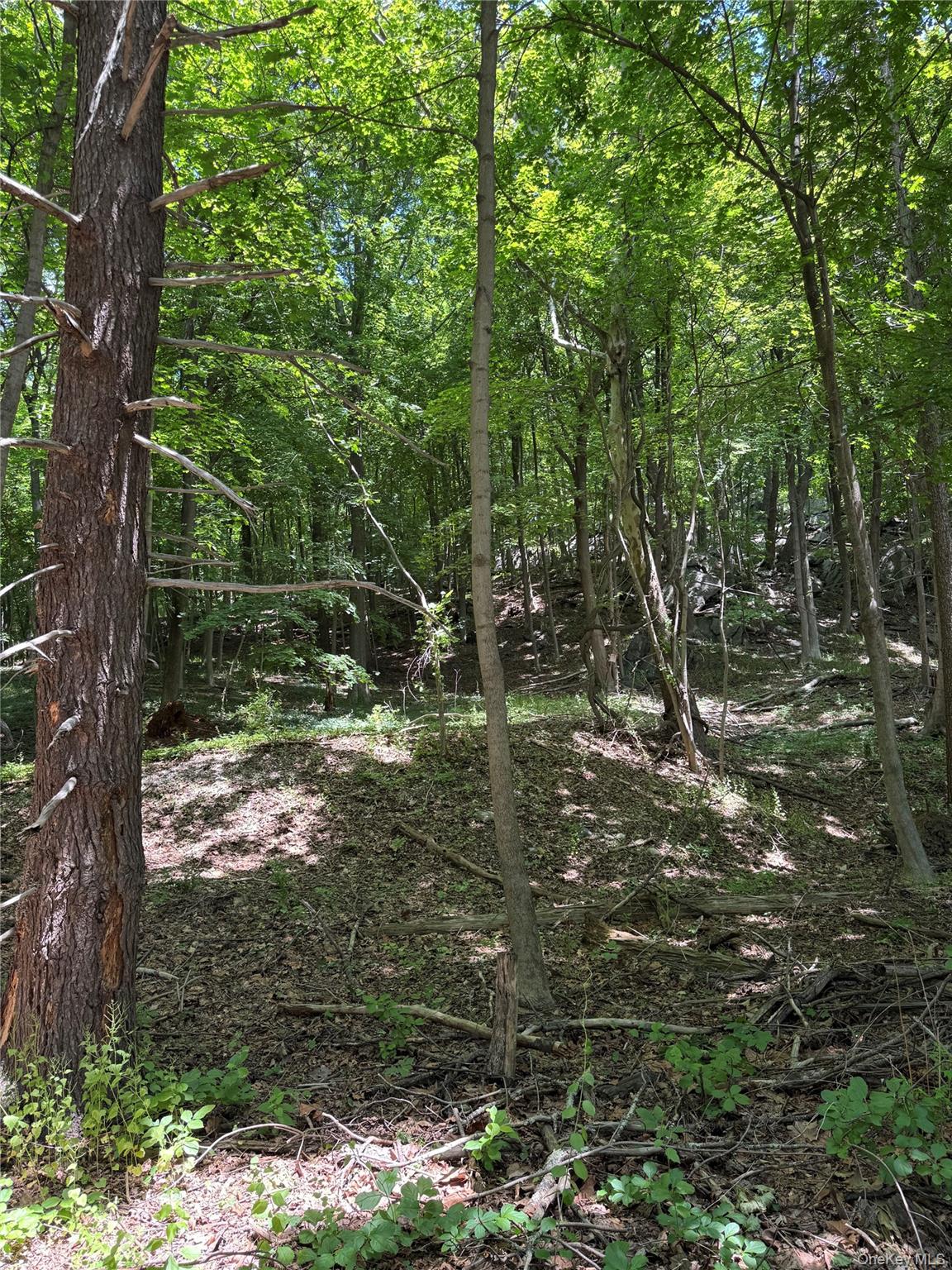 Photo 7 of this property