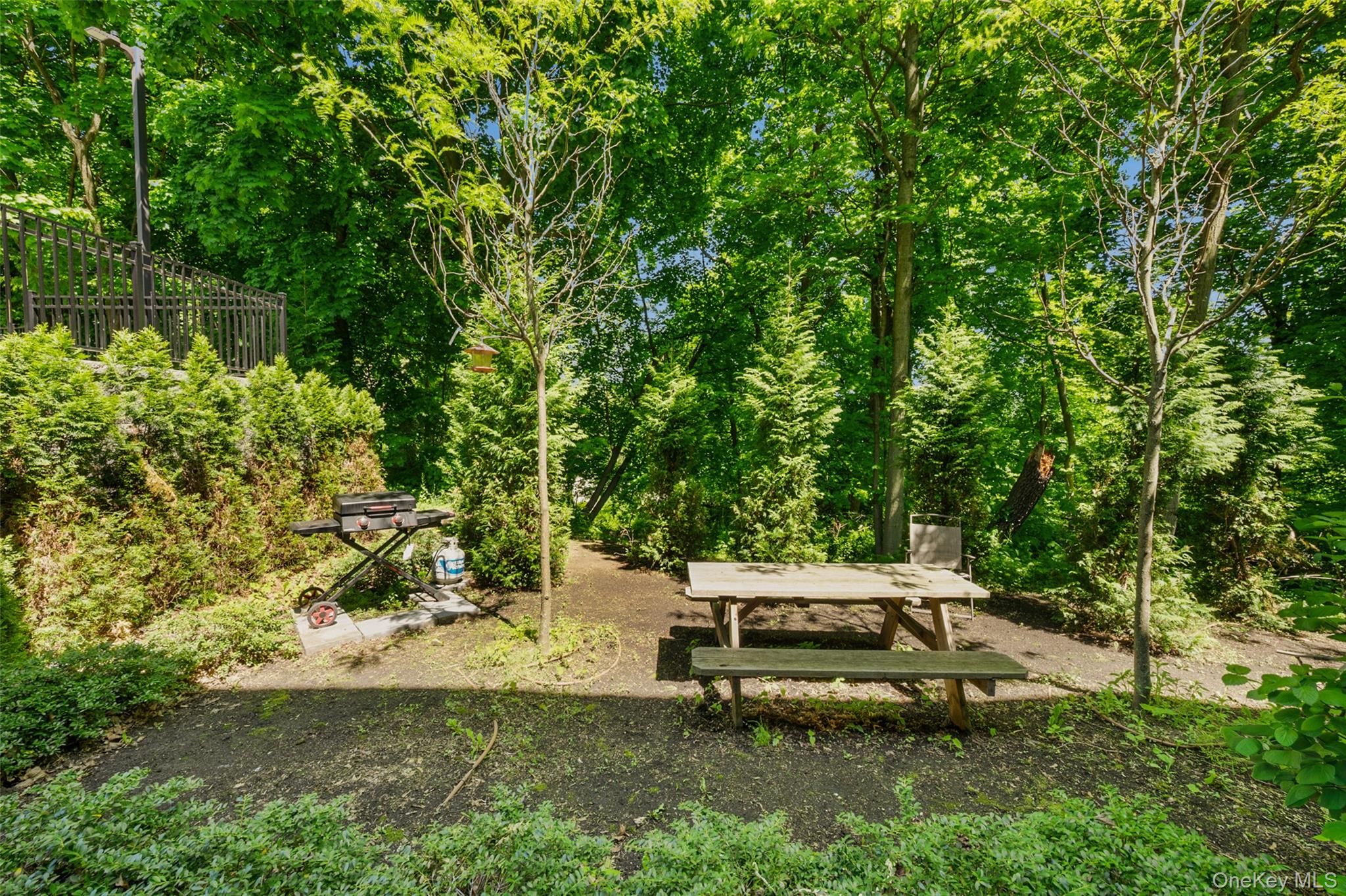 Photo 18 of this property