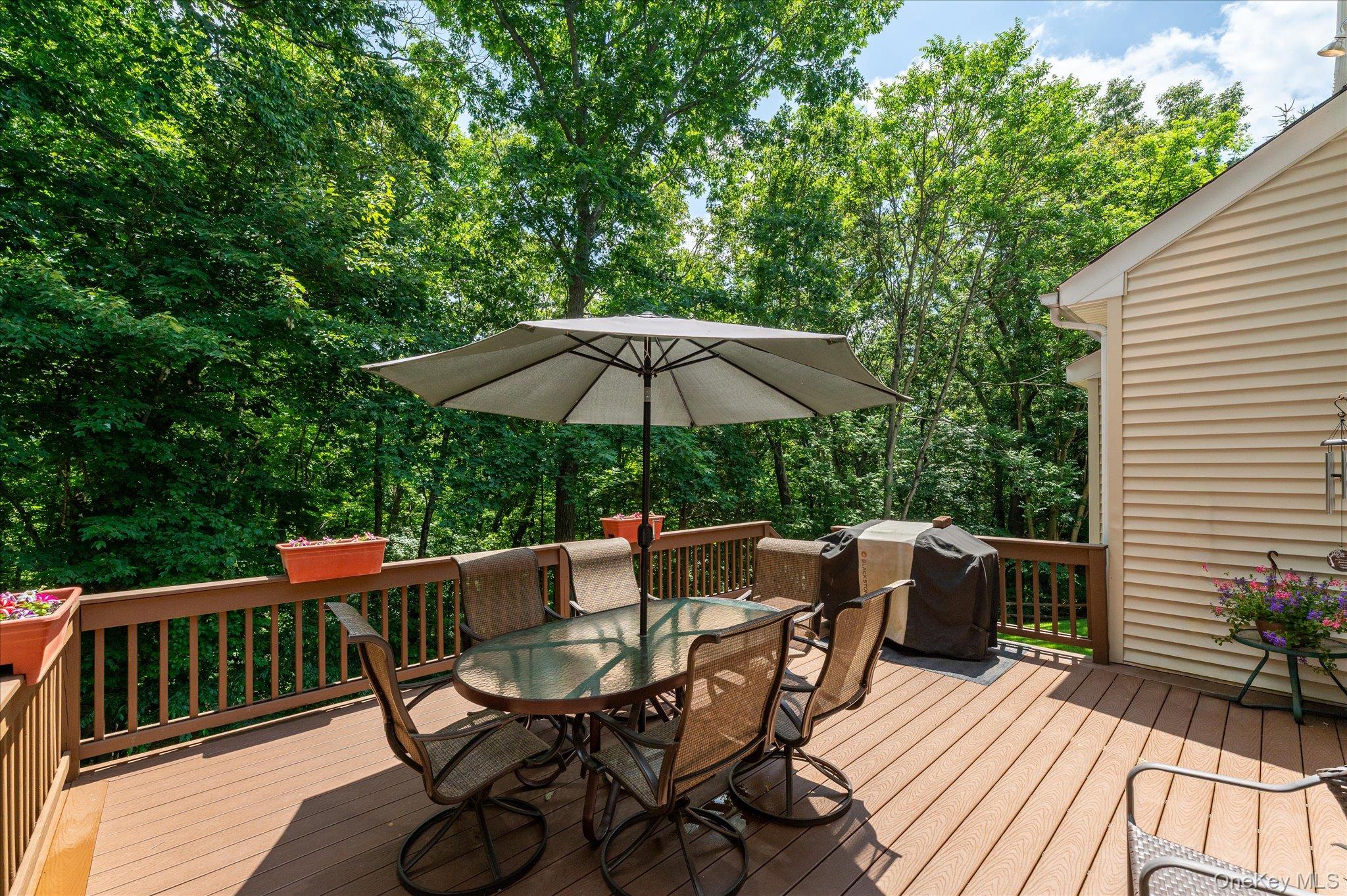 Photo 40 of this property