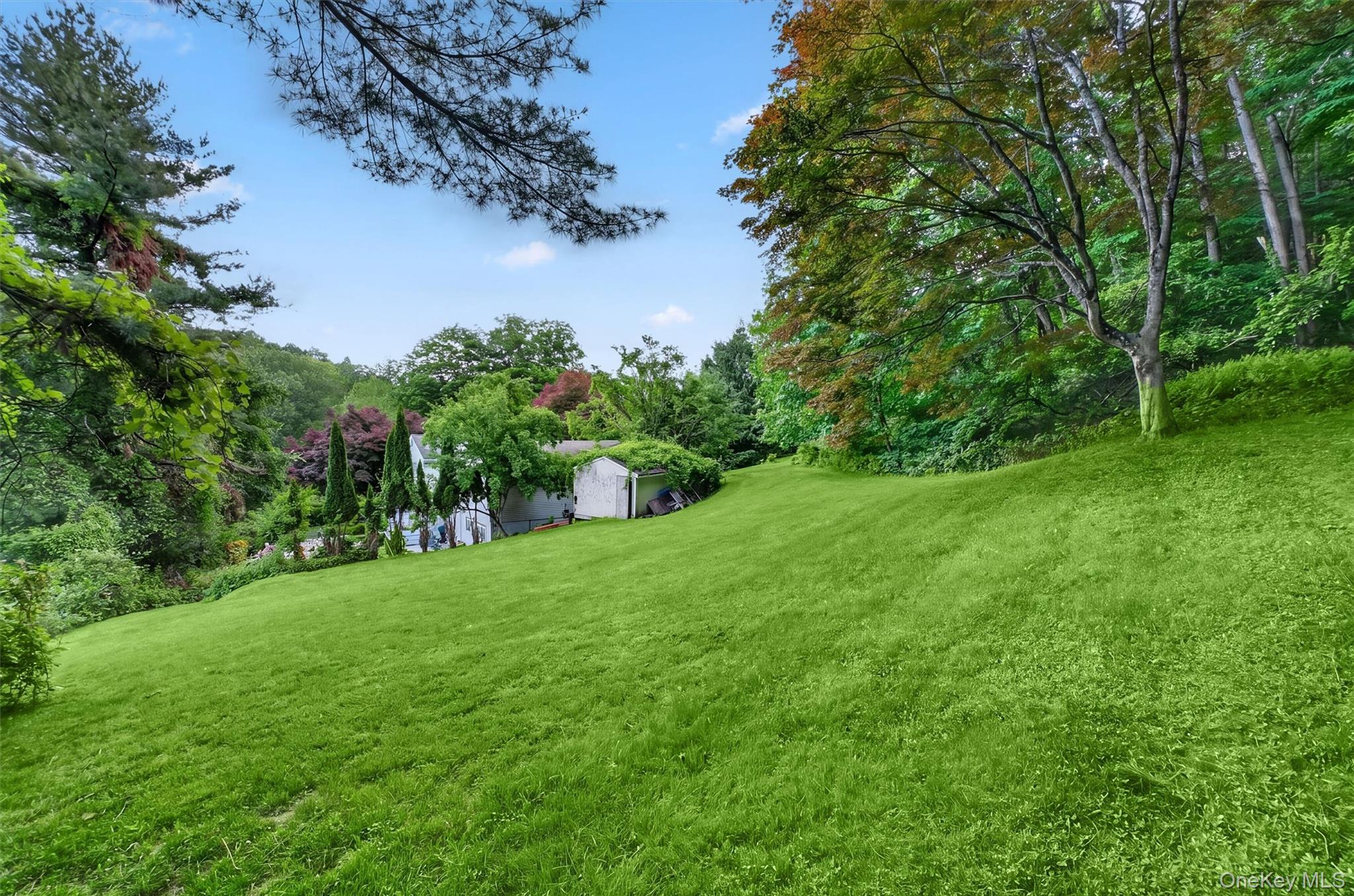 Photo 45 of this property