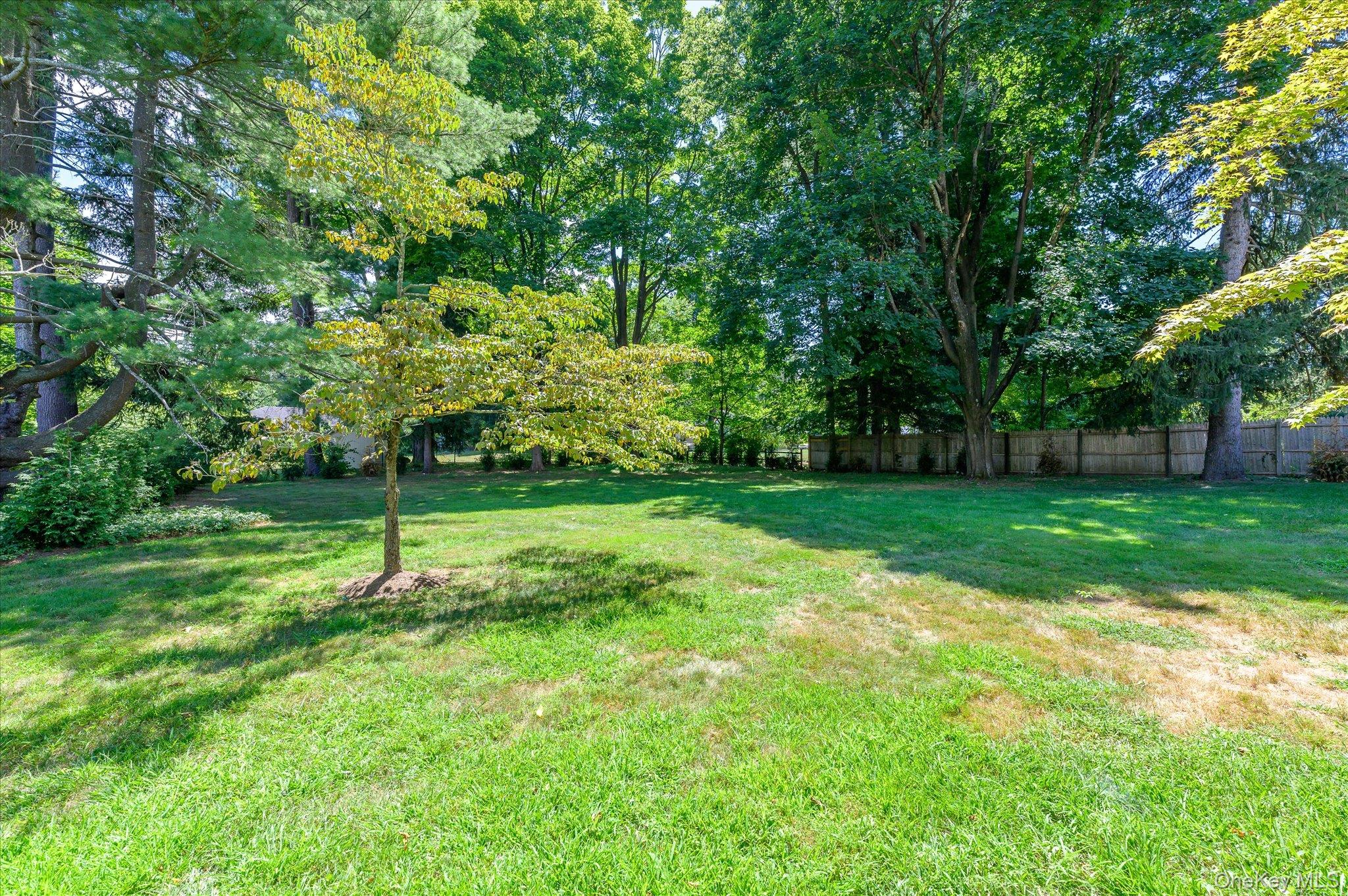 Photo 21 of this property