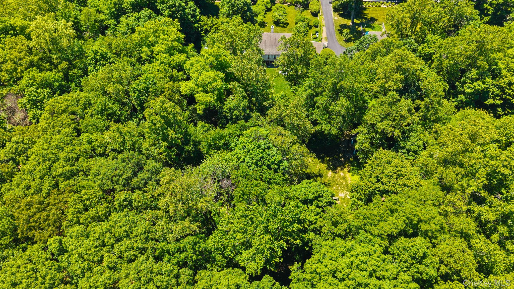RARE BUILDING LOT. Ready to go! Private two-acre building lot with BOH...