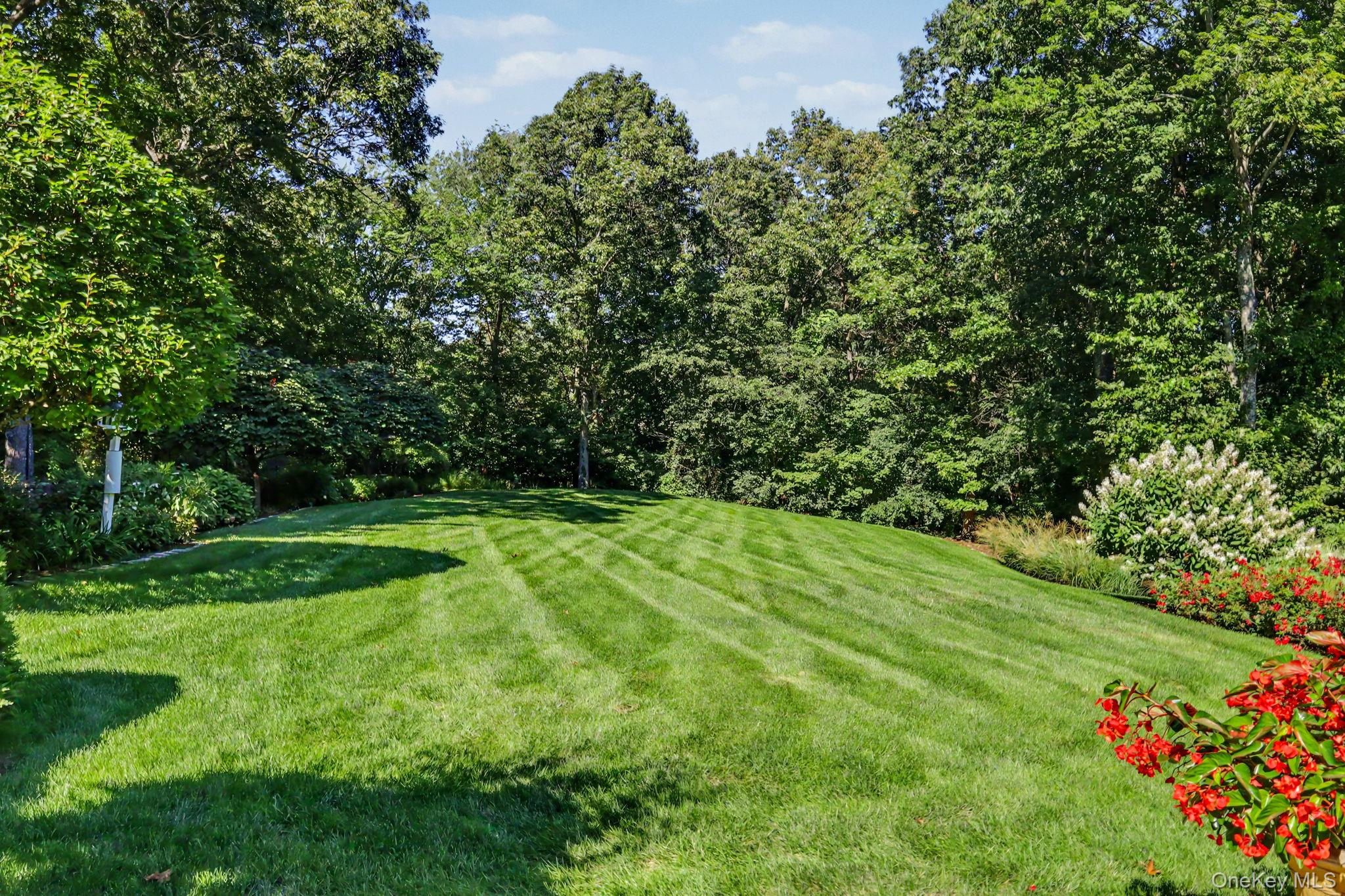 Photo 42 of this property