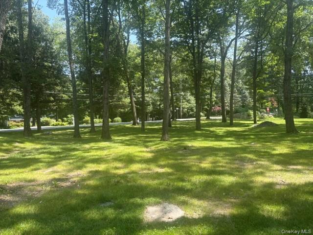 Photo 40 of this property