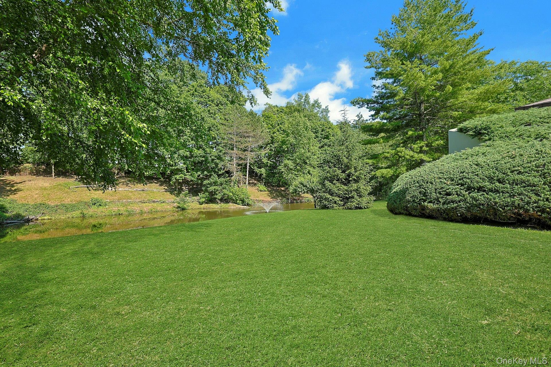 Photo 35 of this property