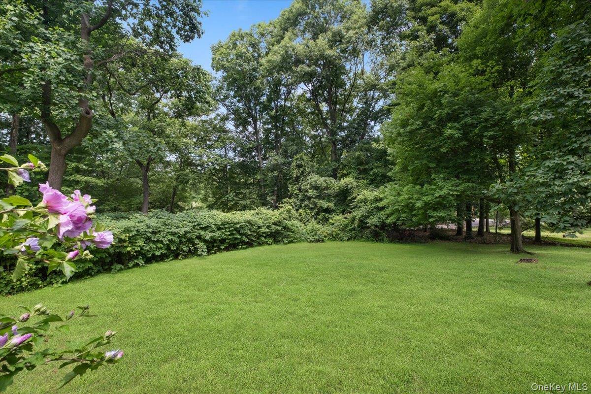 Photo 41 of this property