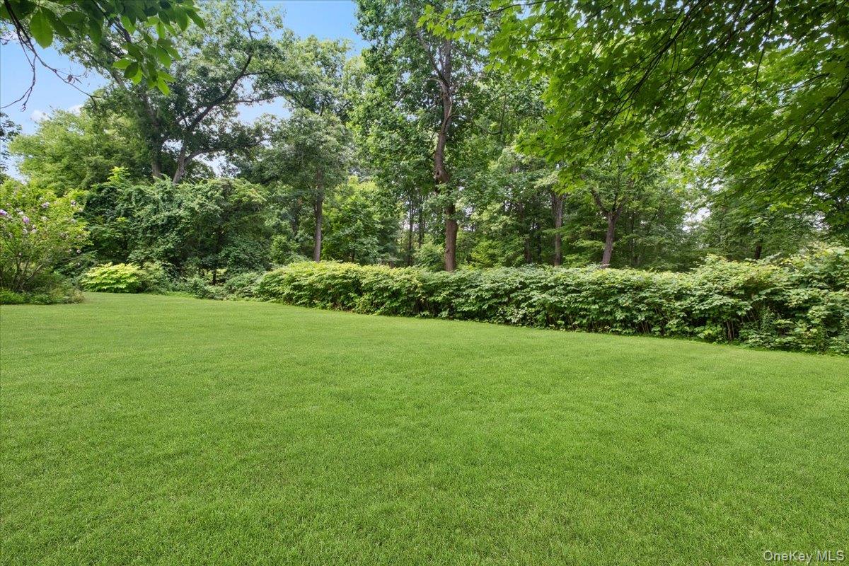 Photo 42 of this property