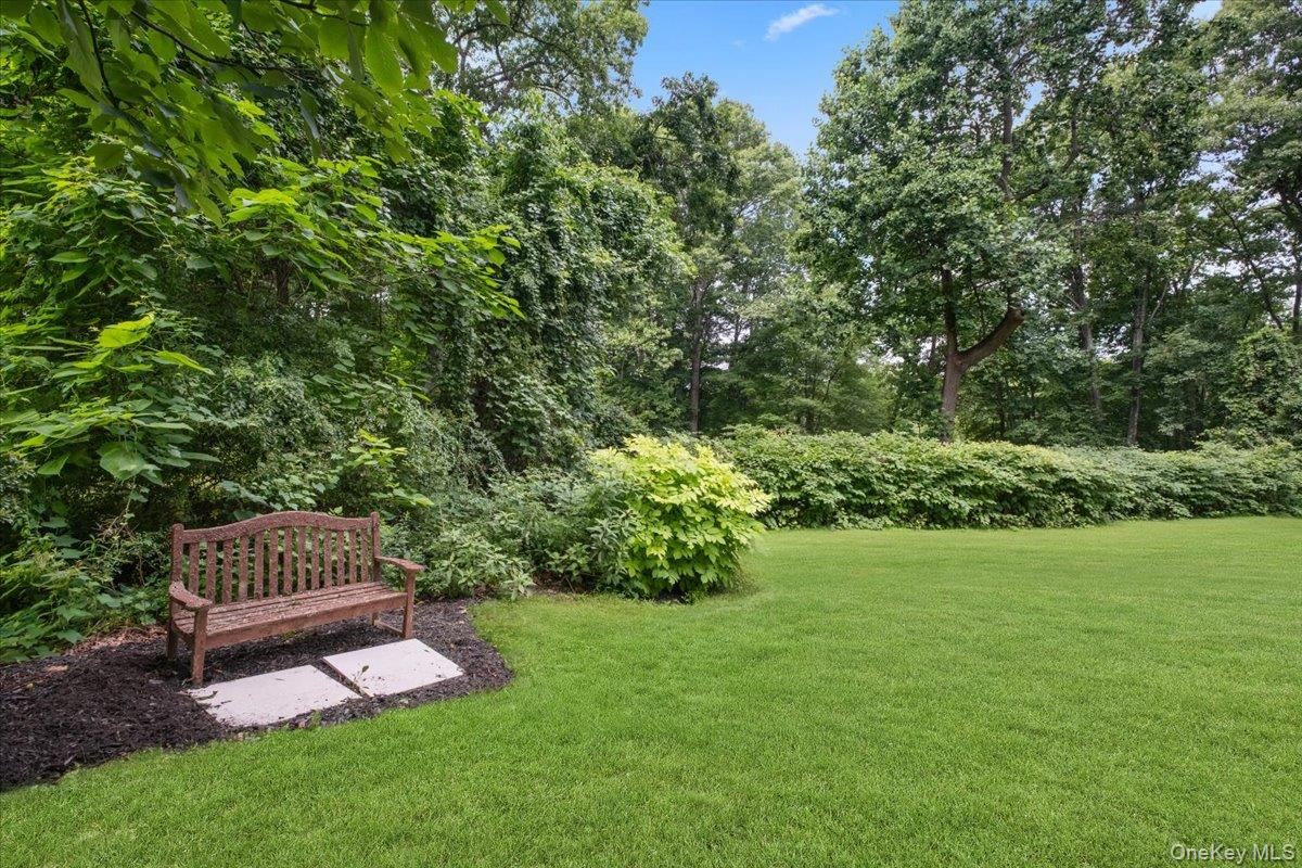 Photo 43 of this property