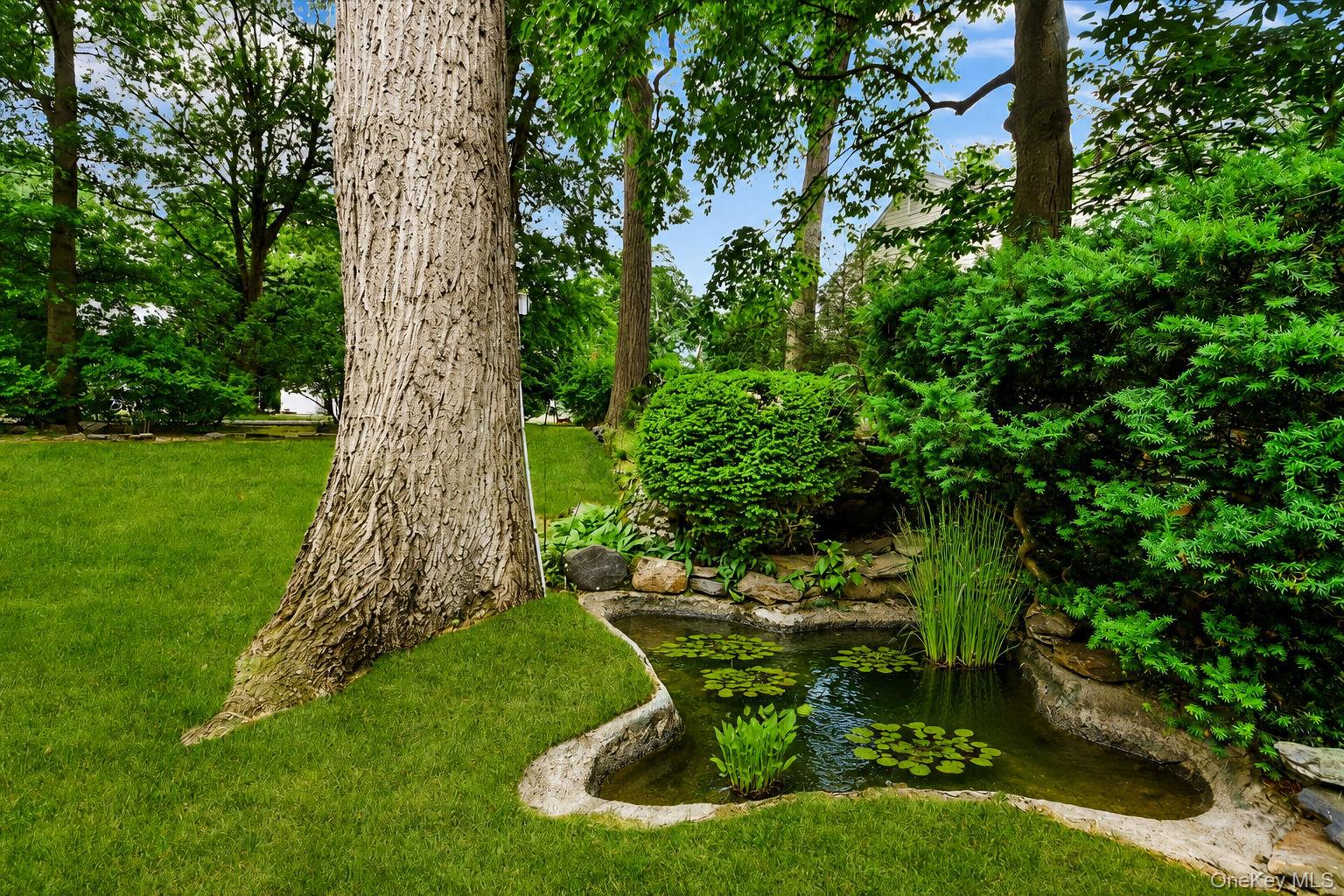 Photo 7 of this property