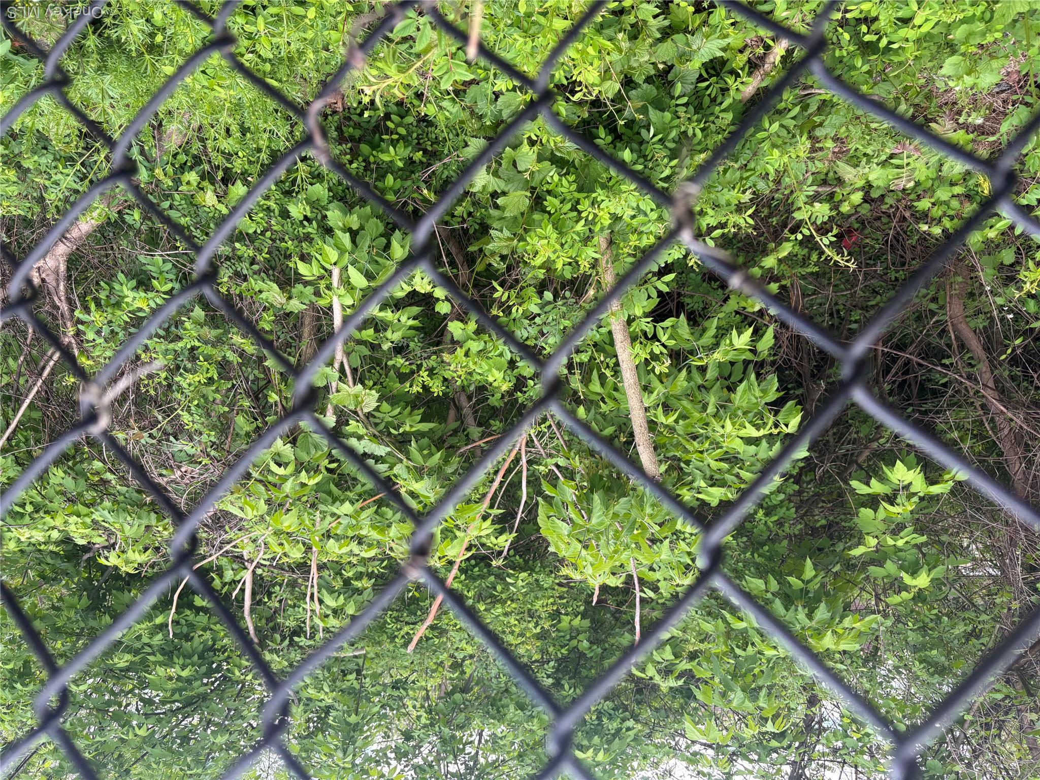 Photo 7 of this property