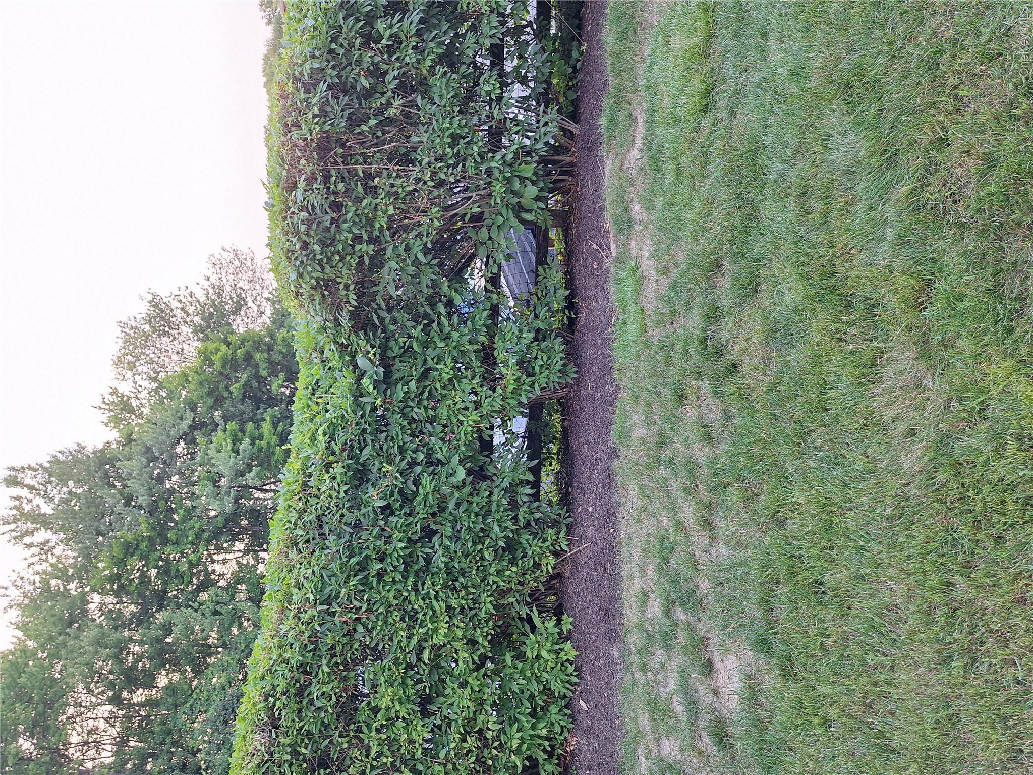 Photo 19 of this property