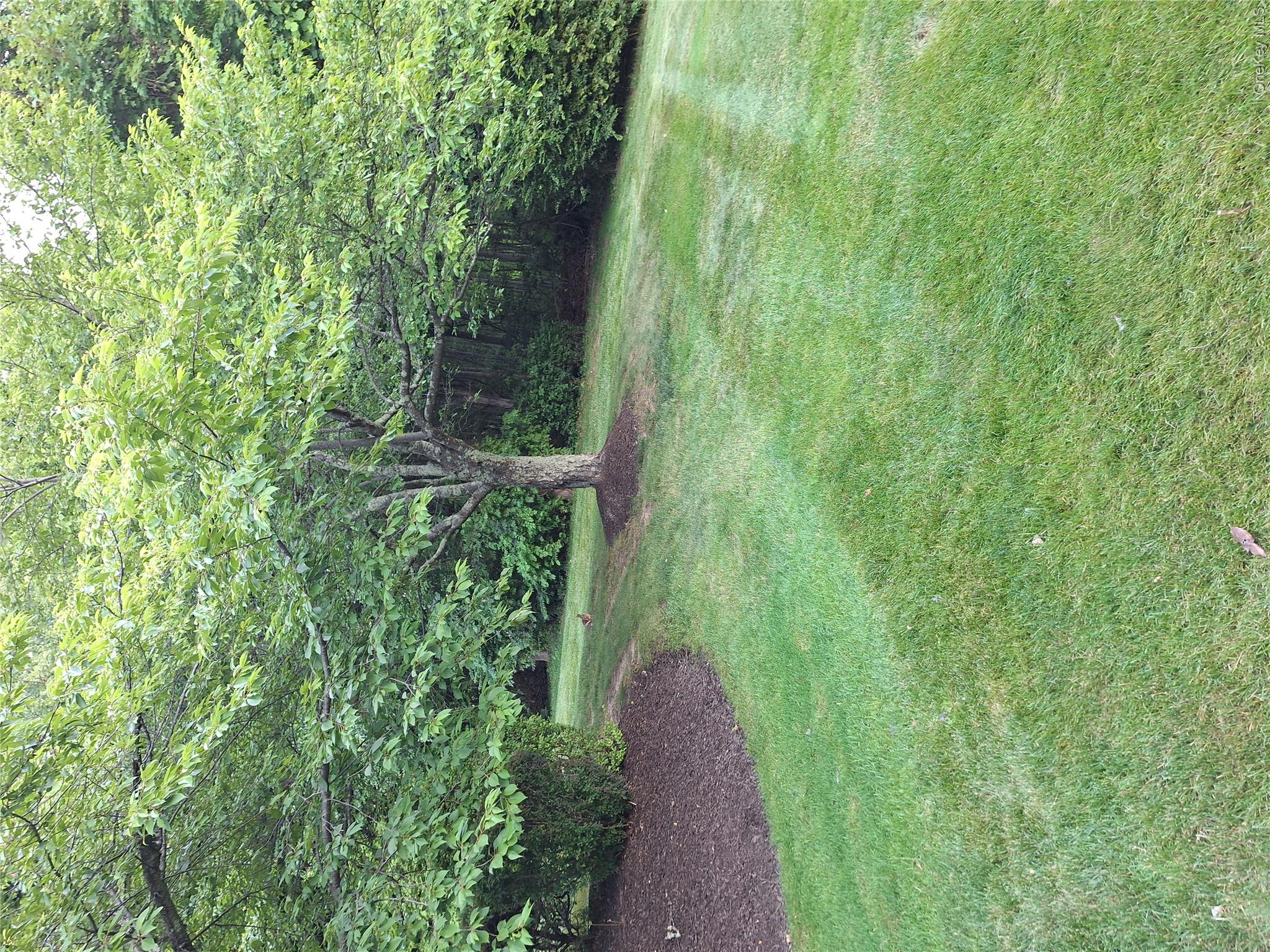 Photo 2 of this property