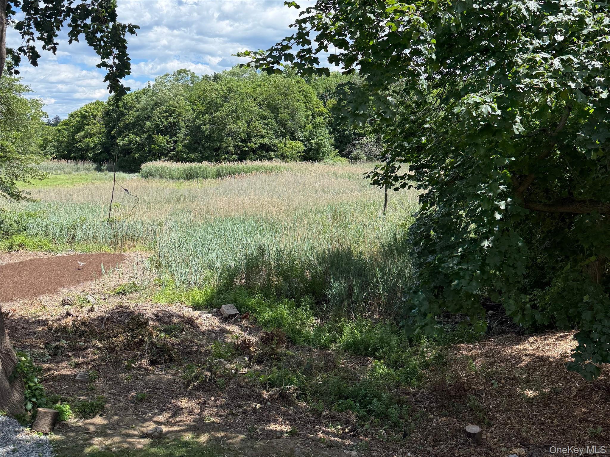 Photo 38 of this property