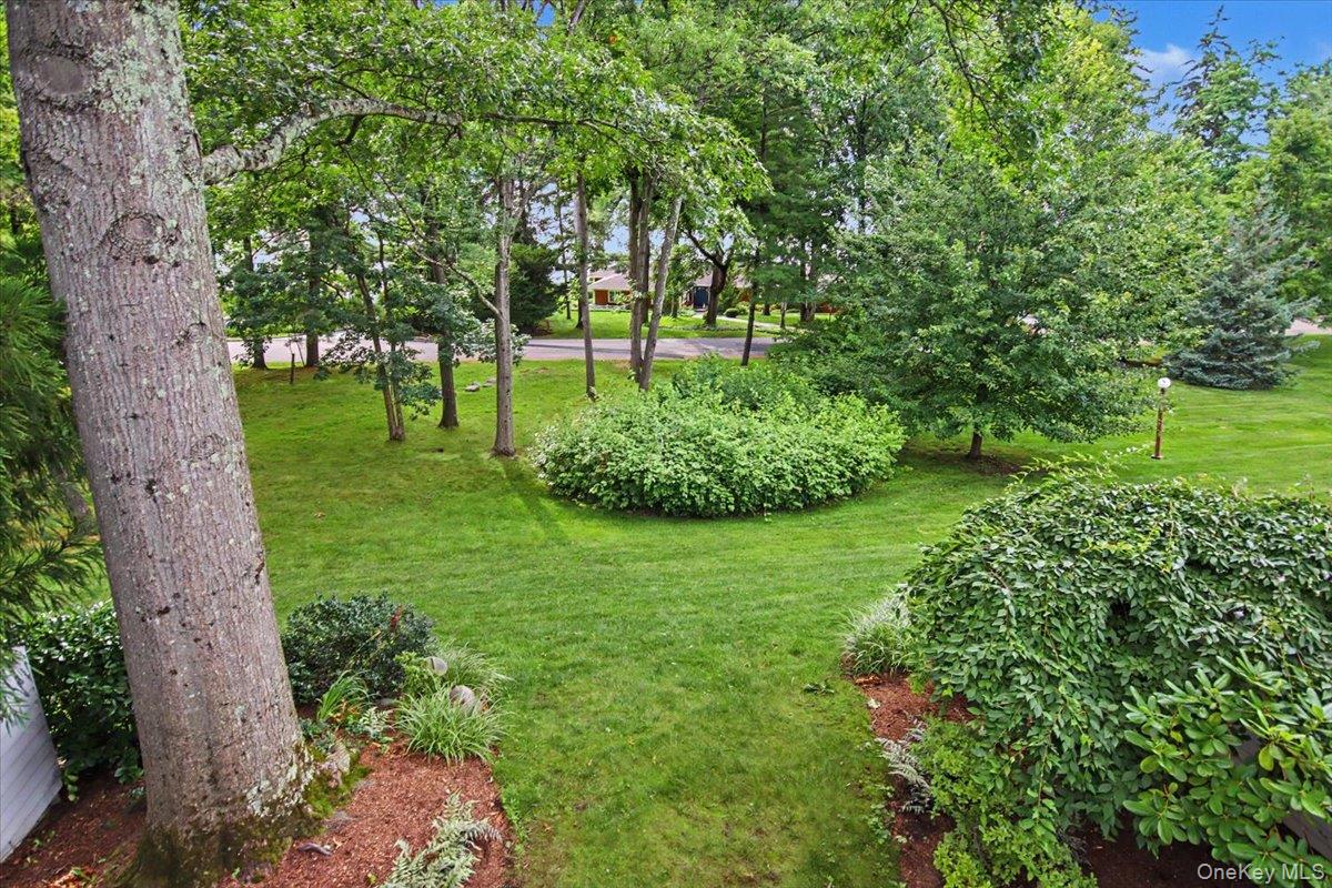 Photo 40 of this property