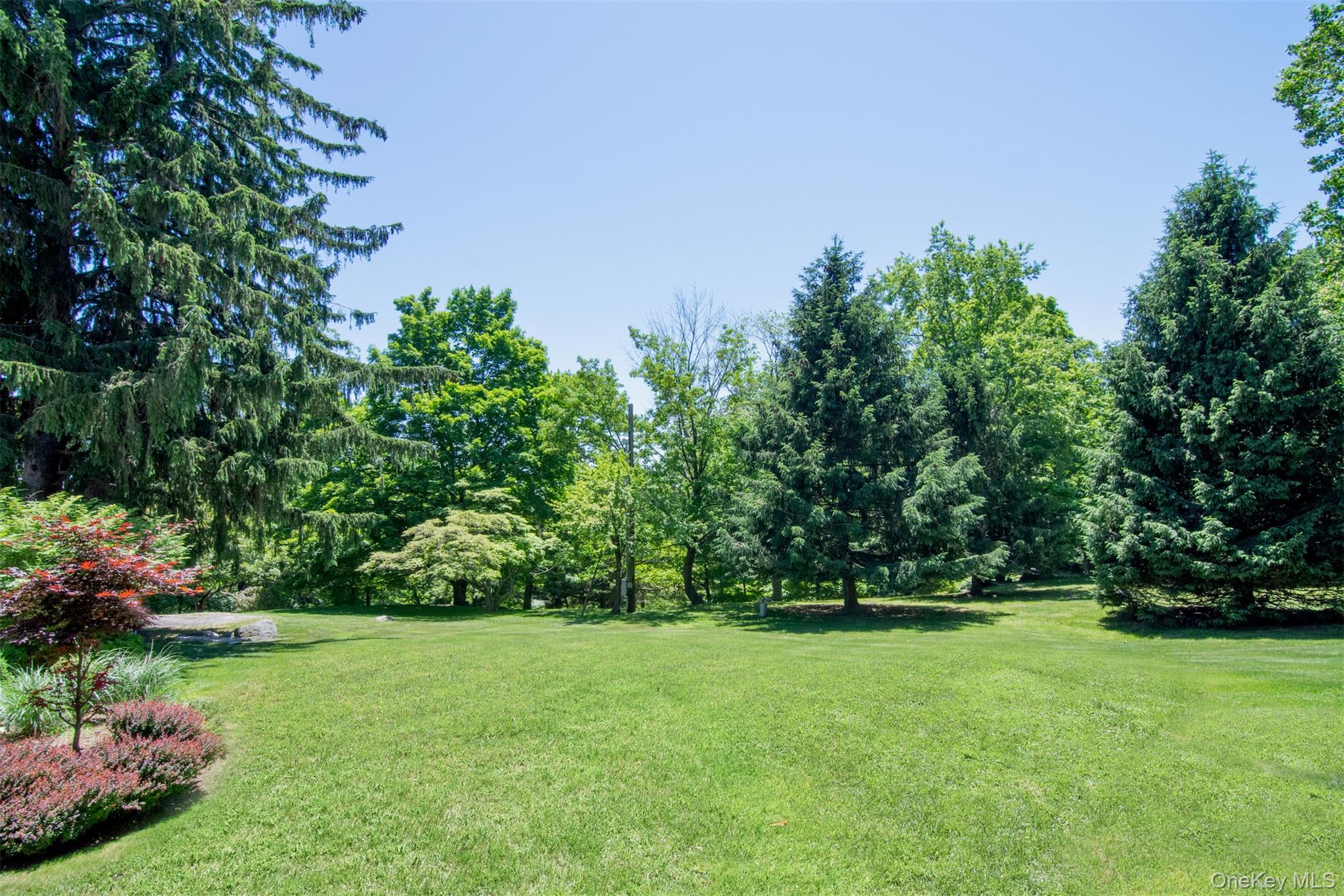 Photo 6 of this property