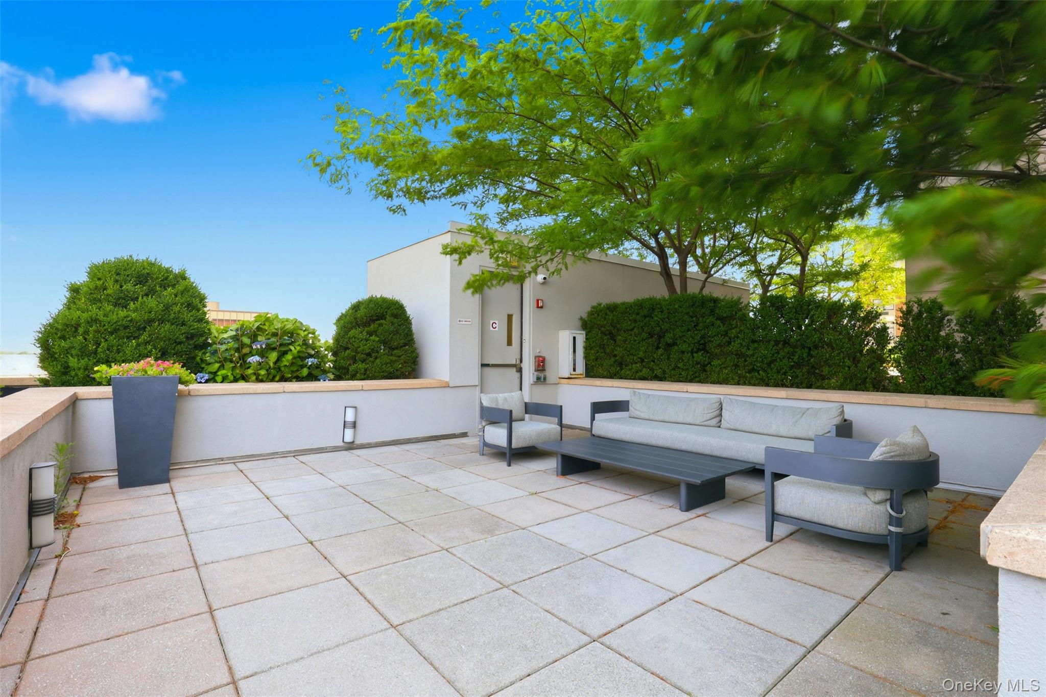 Photo 39 of this property
