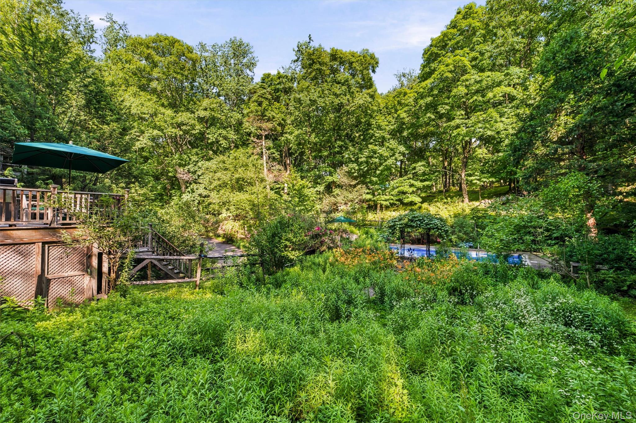 Photo 49 of this property