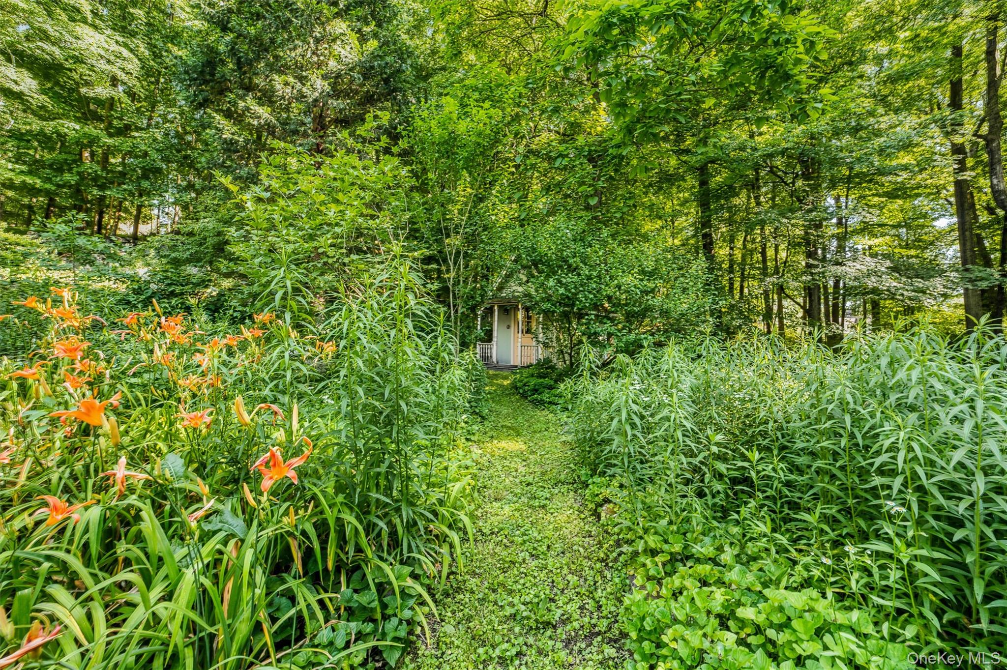 Photo 46 of this property