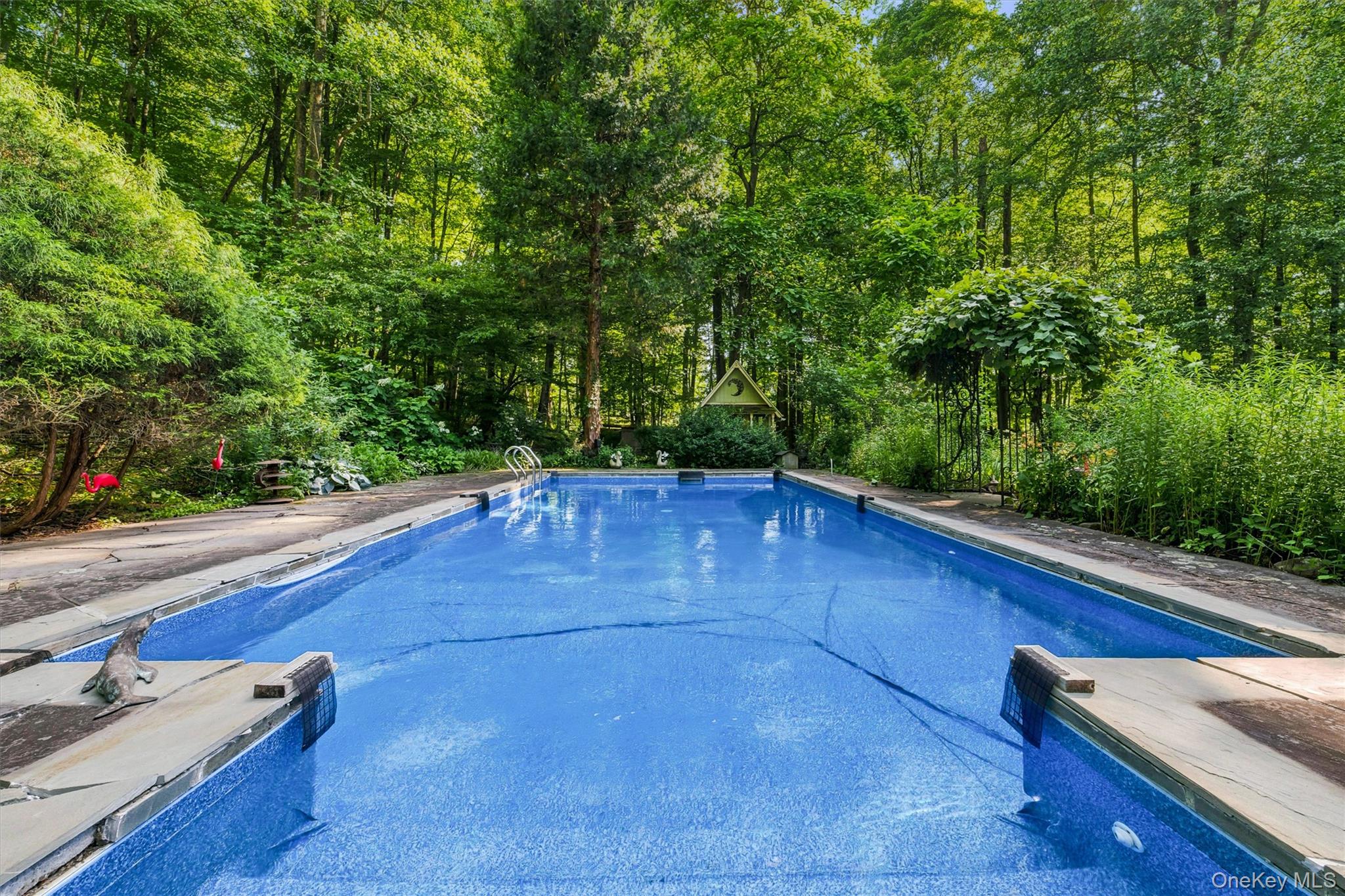 Photo 42 of this property