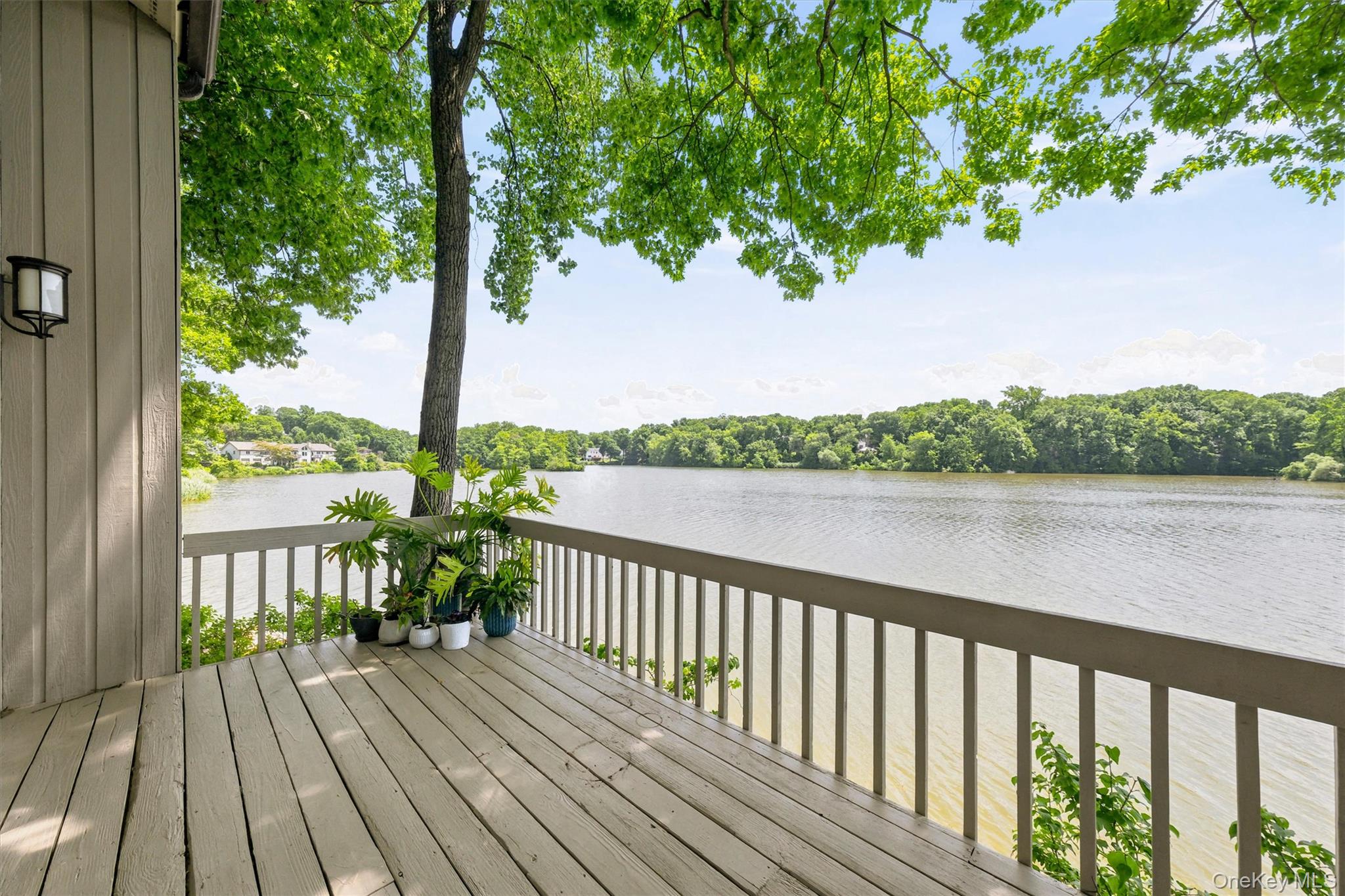 Photo 49 of this property