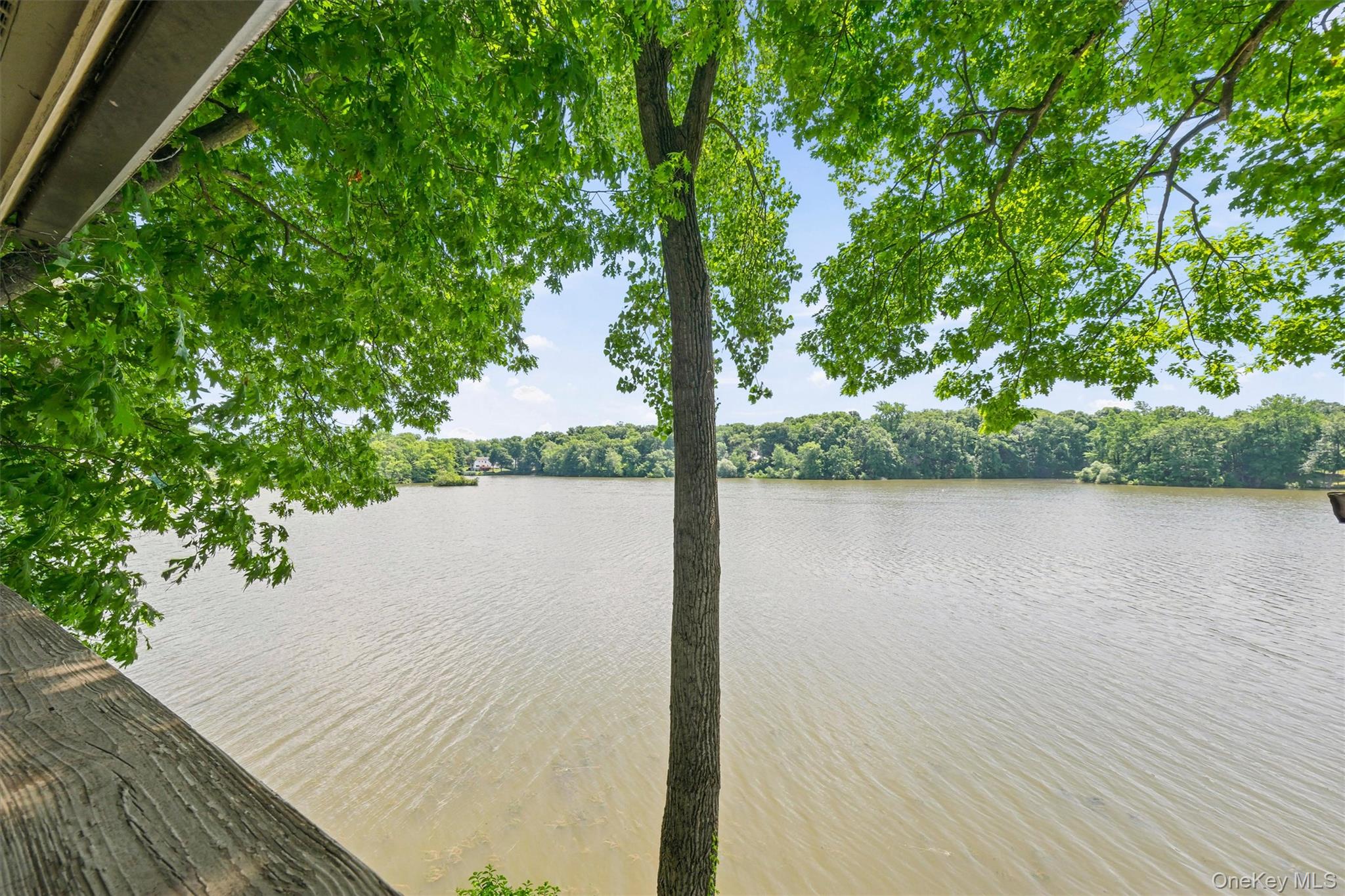 Photo 43 of this property