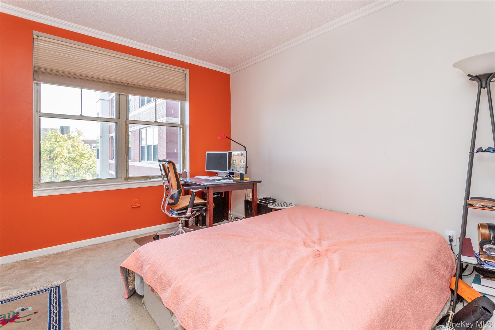 Photo 10 of this property