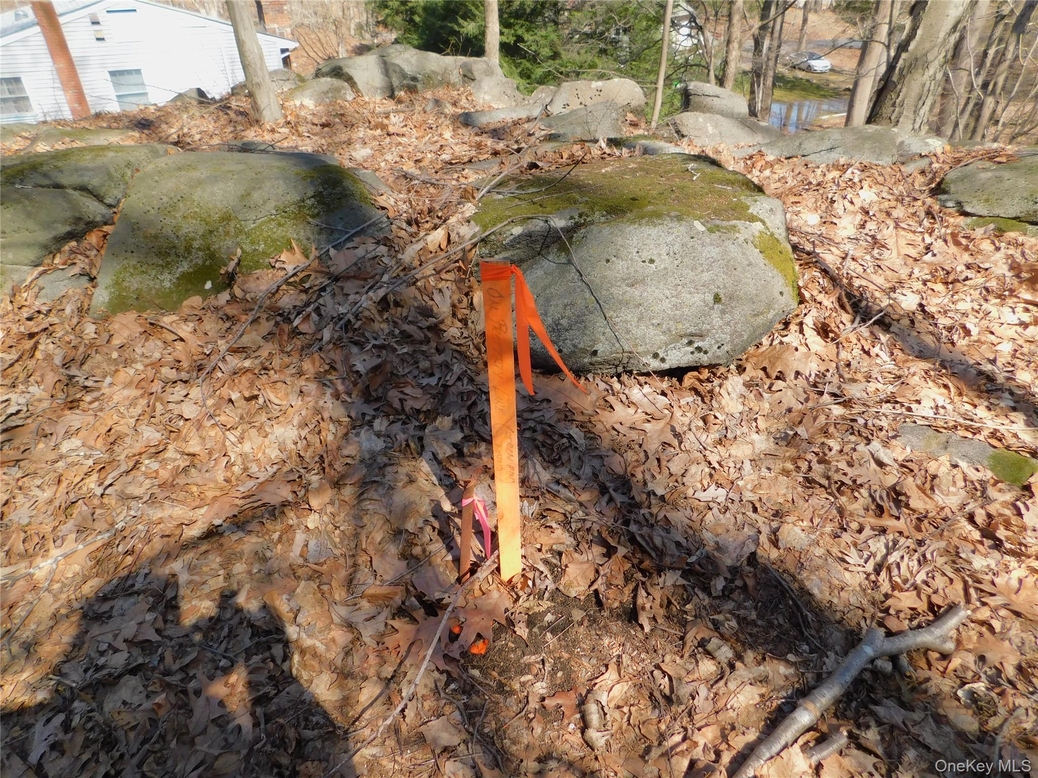 Photo 5 of this property